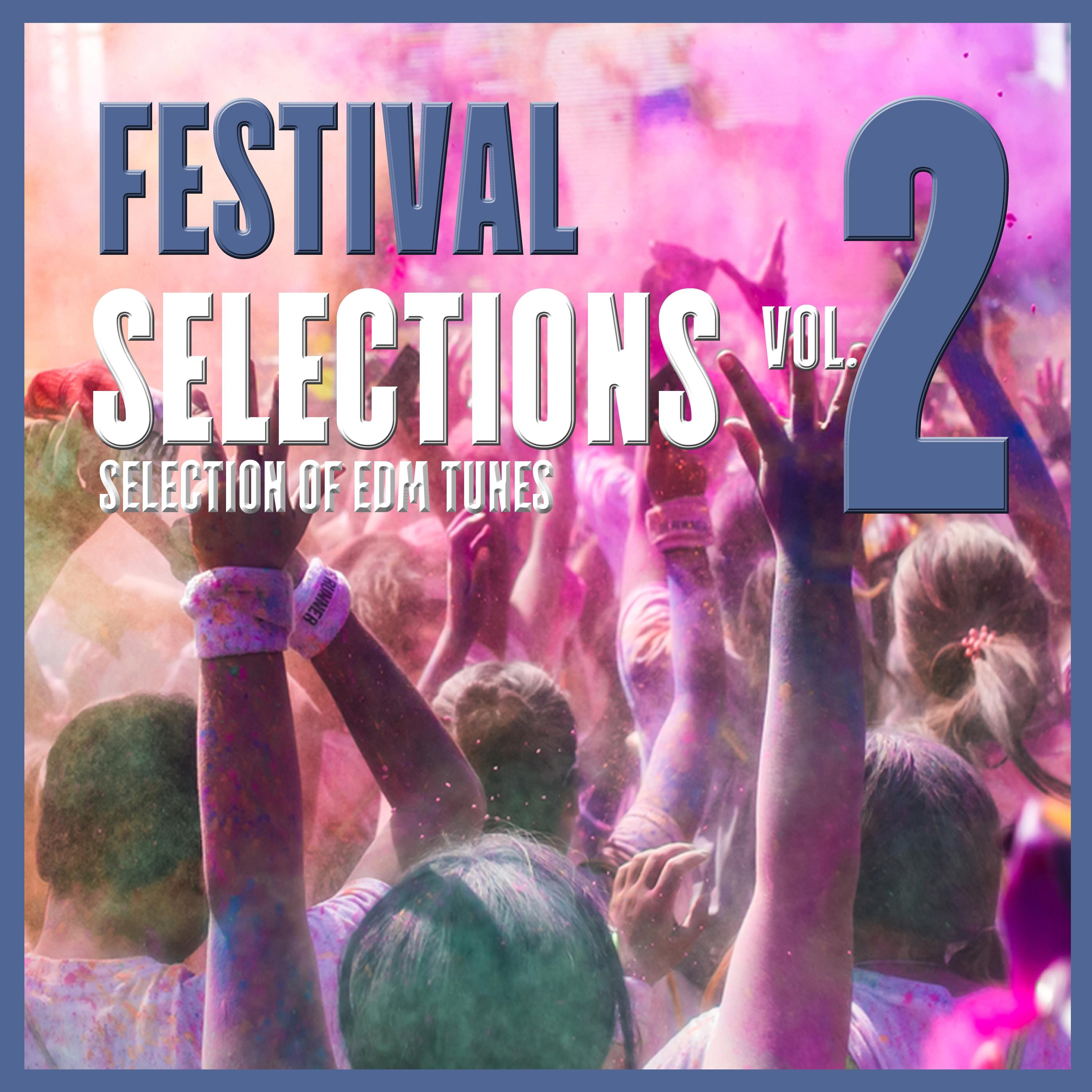 Festival Selections, Vol. 2 - Selection of EDM Tunes