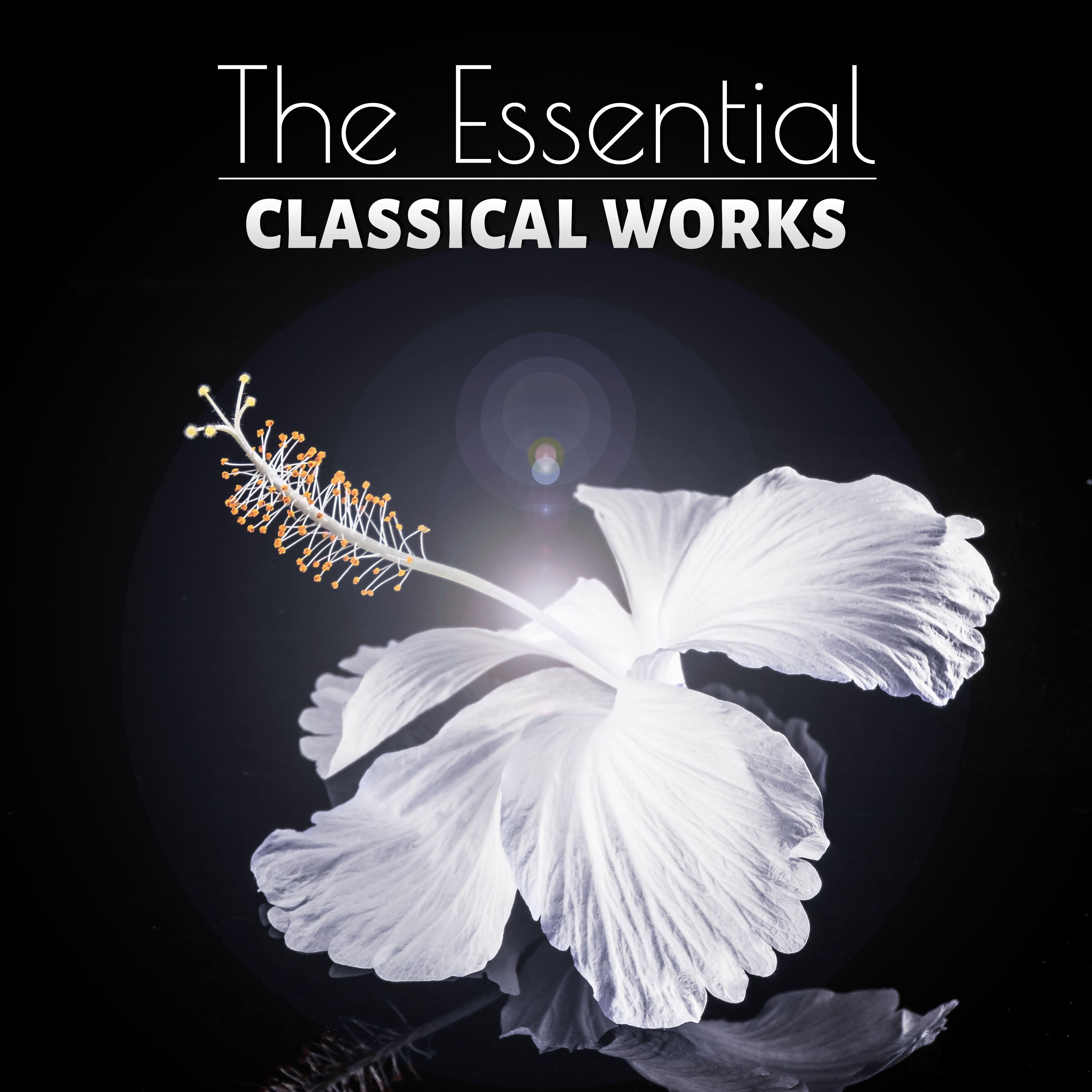 The Essential Classical Works - Relaxing Music for Learning and Reading that Helps to Focus and Concentrate on Work, Rest and Sleep