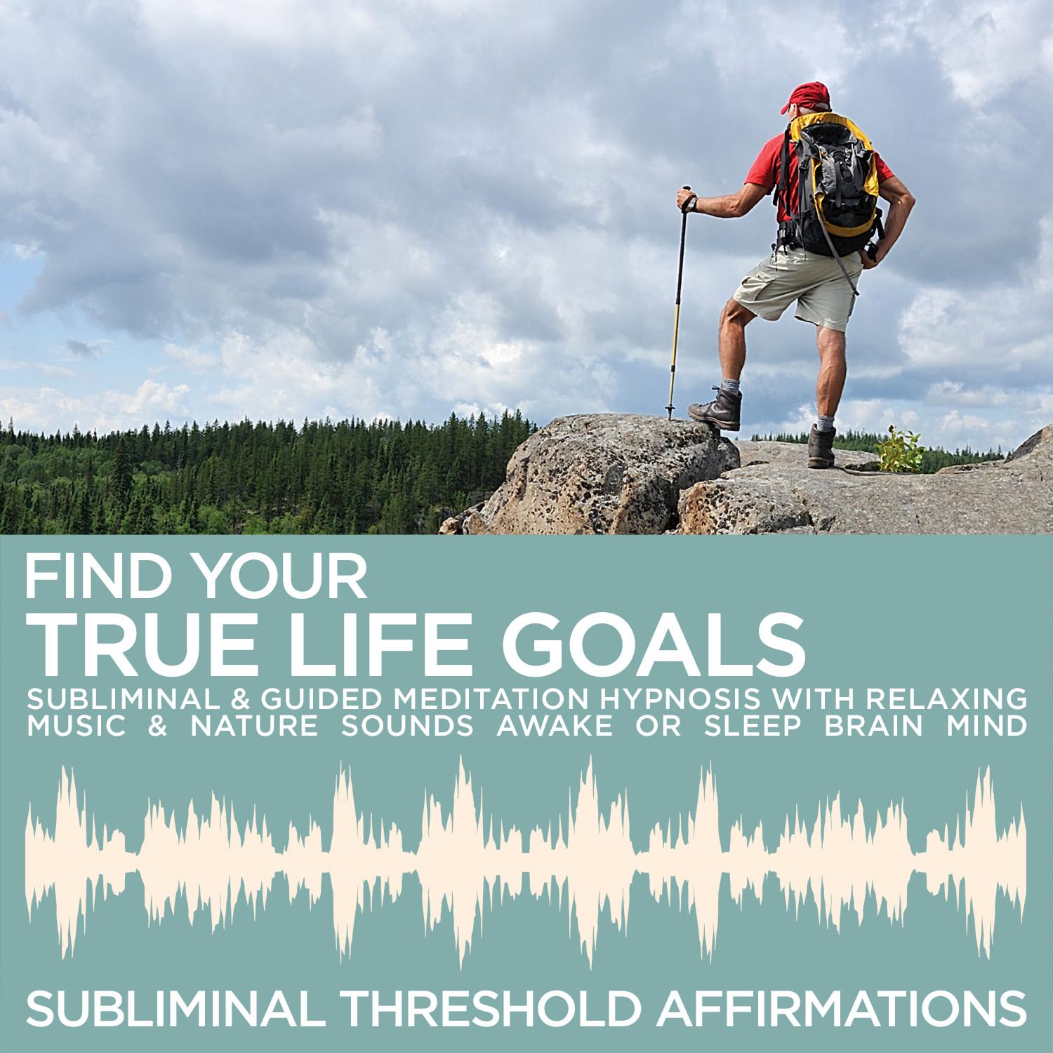 Introduction & Audible Affirmations: Find Your True Life Goals