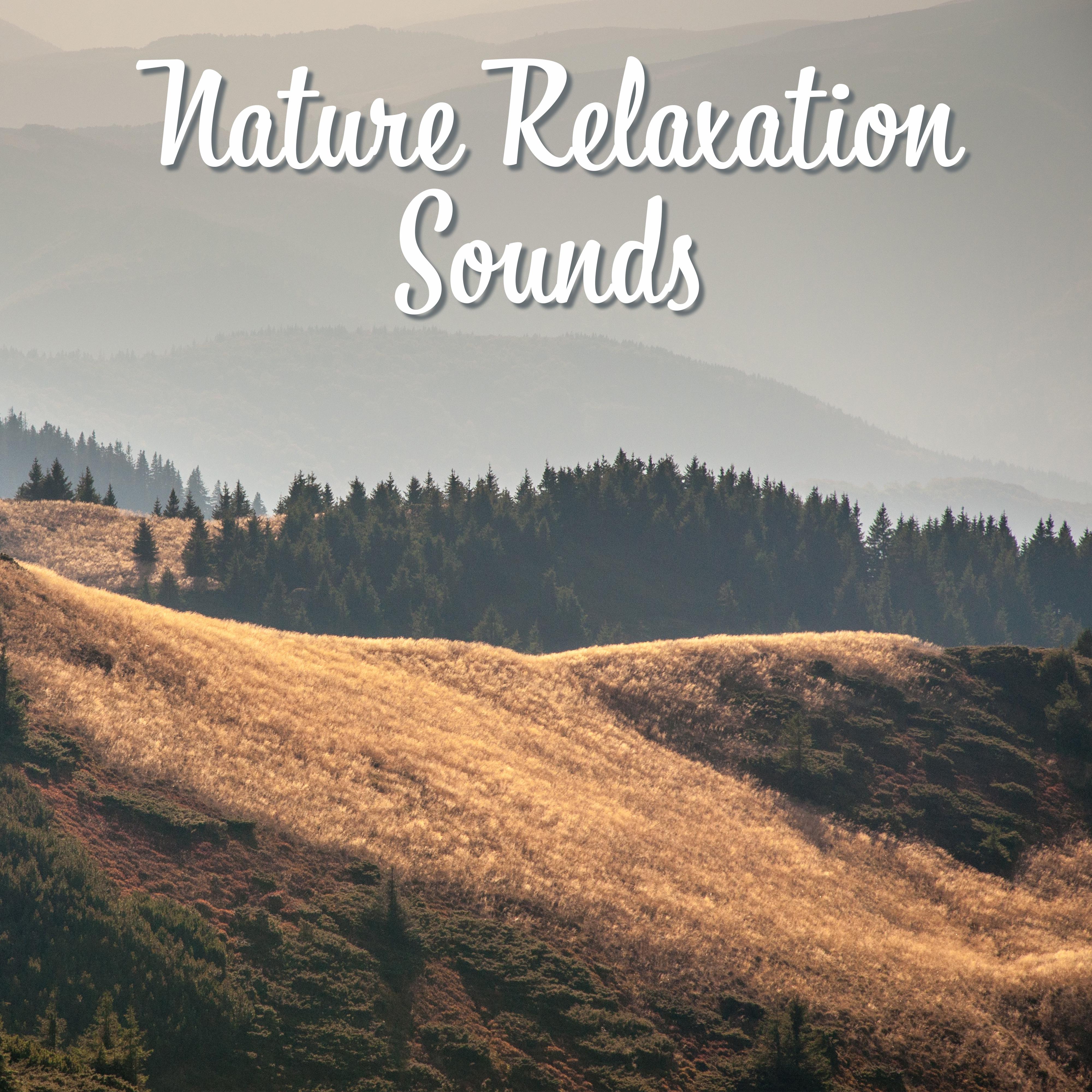 Nature Relaxation Sounds  Soothing New Age Music, Forest Waves, Calm Mind, Rest  Relax