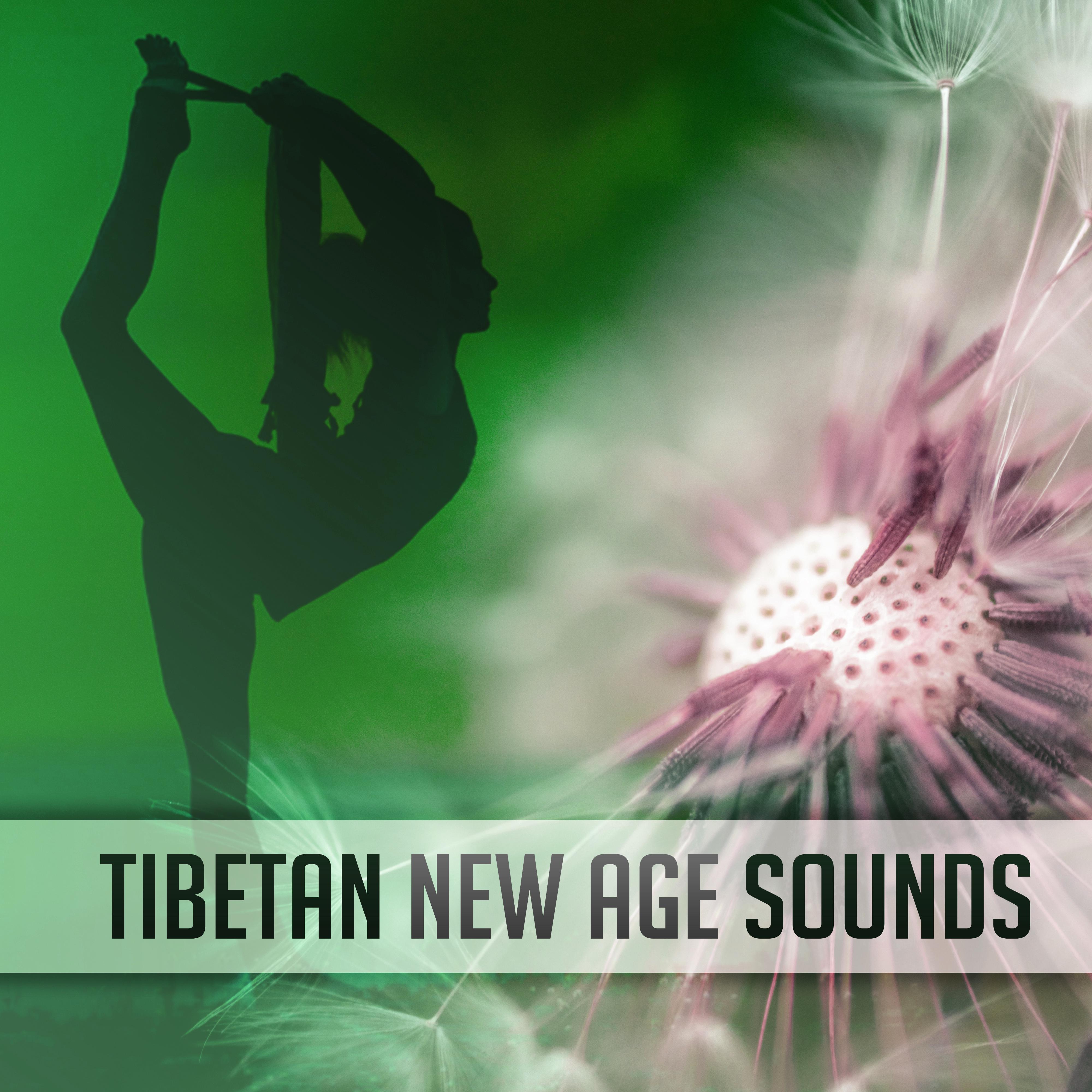 Tibetan New Age Sounds  Calm Meditation Sounds, Music to Relax, Mind Control, Buddha Lounge