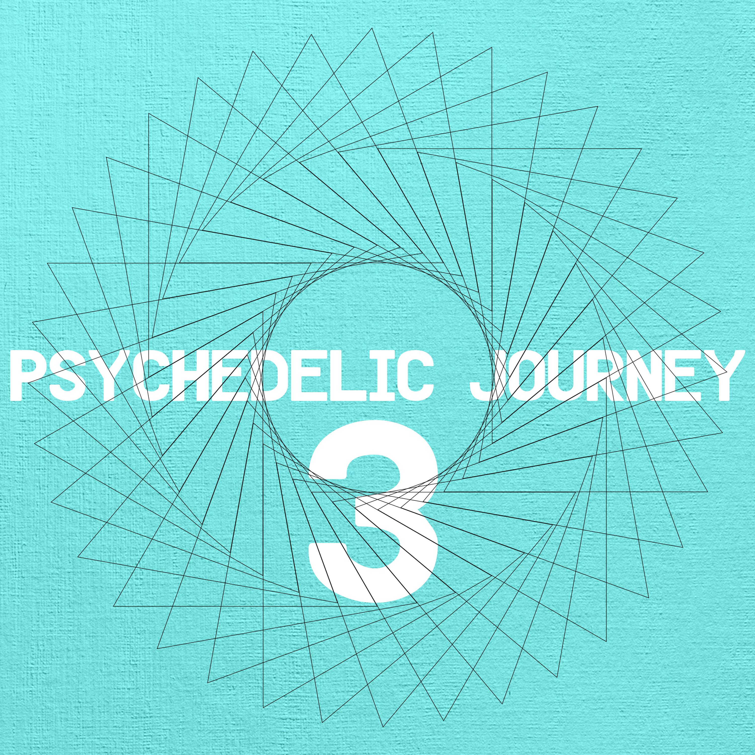 Psychedelic Journey 3