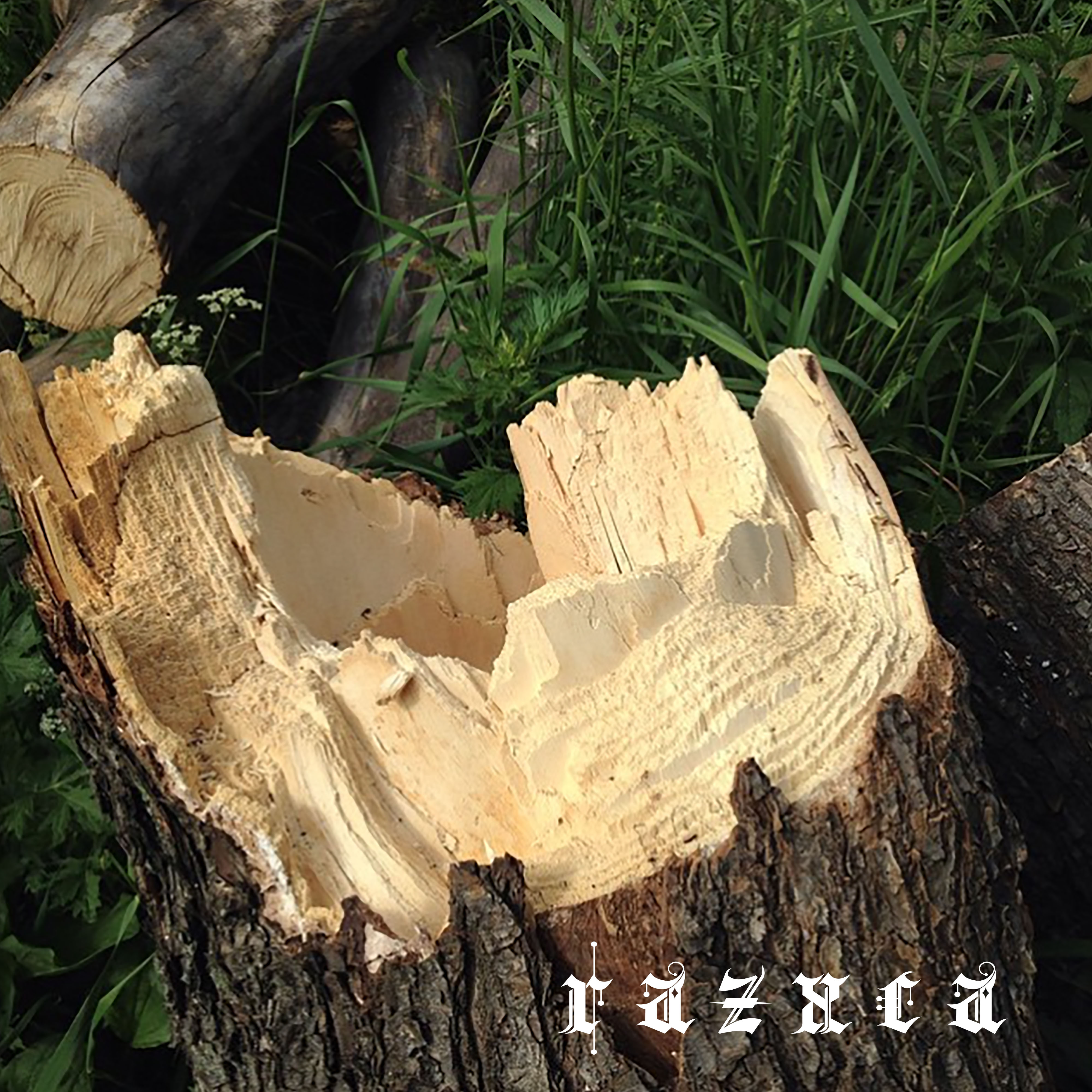 Tune Some Memories, Pt. 1