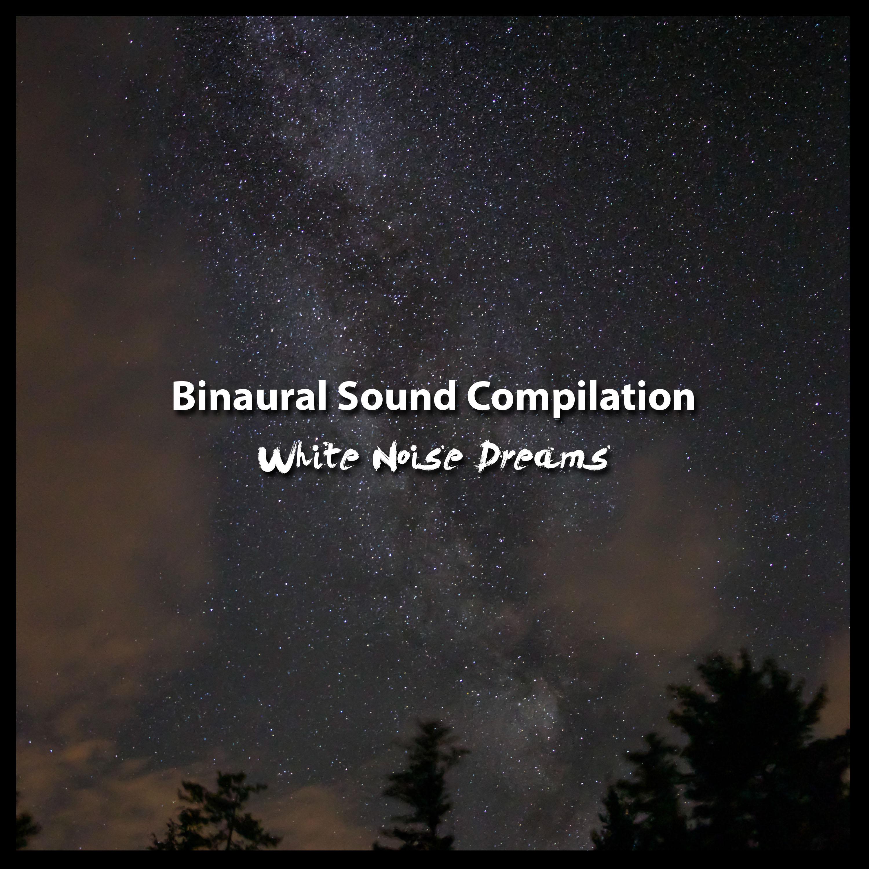 2018 A Binaural Sound Compilation: White Noise Dreams