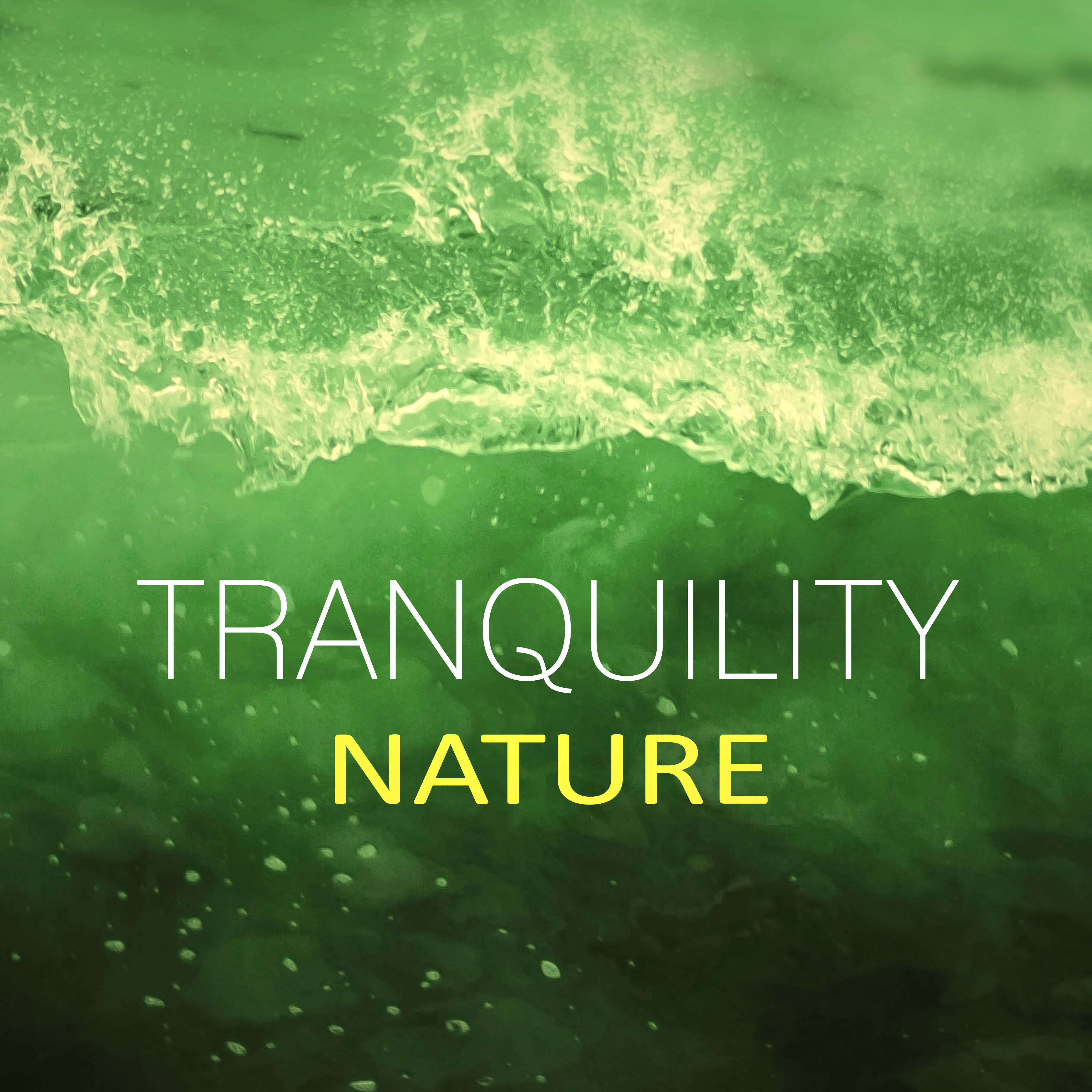 Tranquility Nature  New Age, Nature Sounds, Calm Waves, Yoga, Massage Music, Sounds Therapy, Peaceful Spa