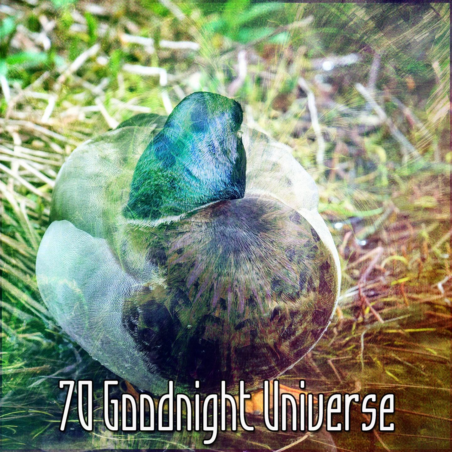 70 Goodnight Universe