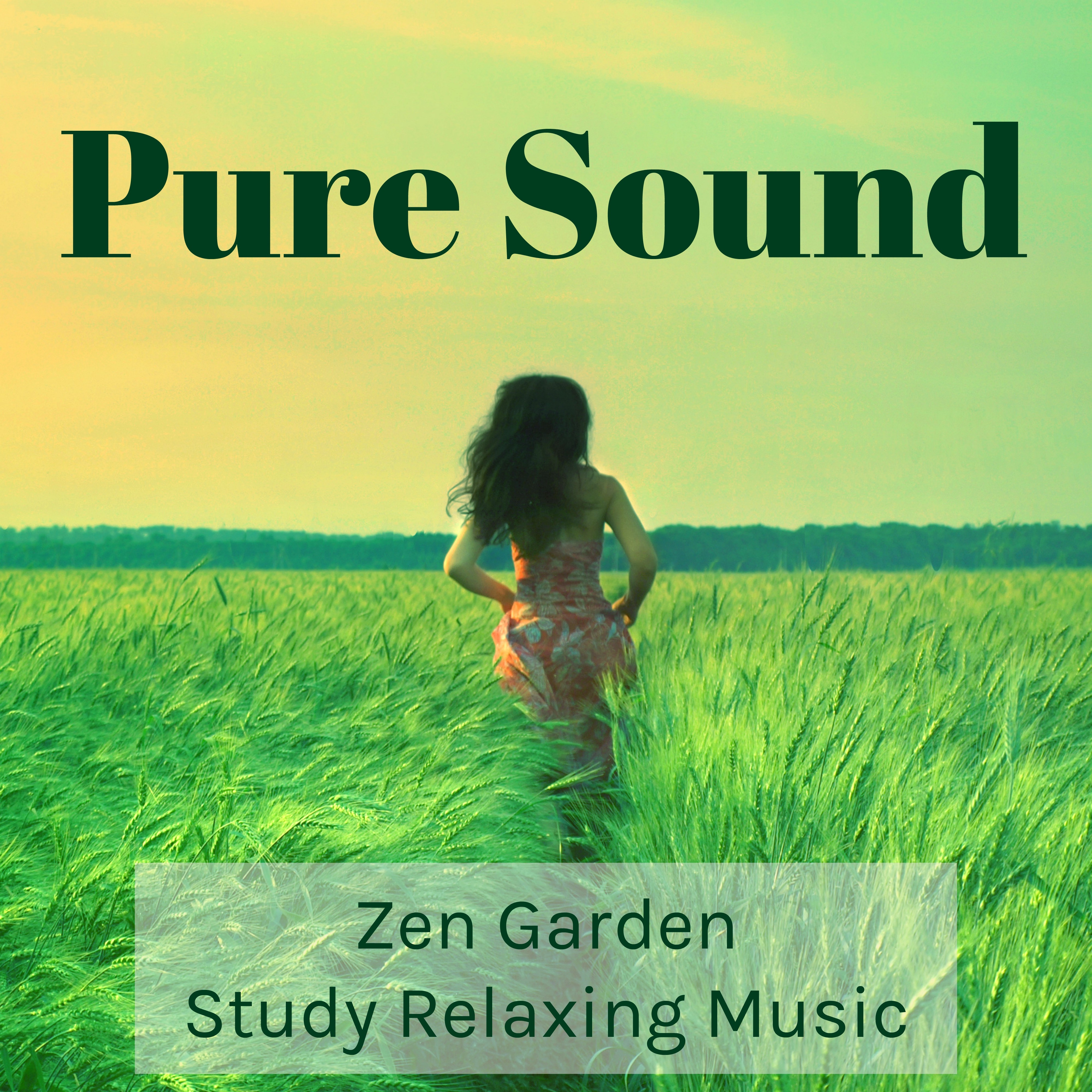 Pure Sound - Zen Garden Study Relaxing Music for Mind Workout Deep Focus Sleep Remedies with Nature Instrumental Wellness Sounds