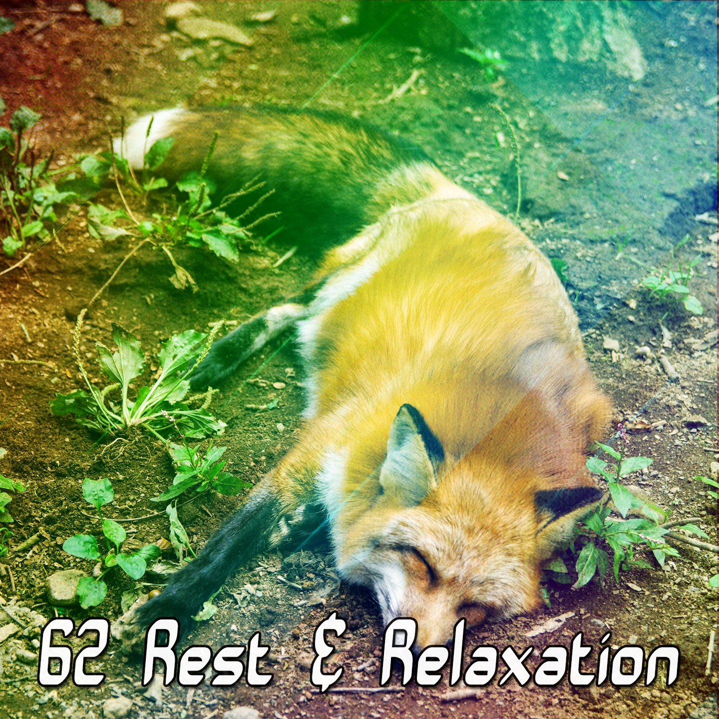 62 Rest & Relaxation