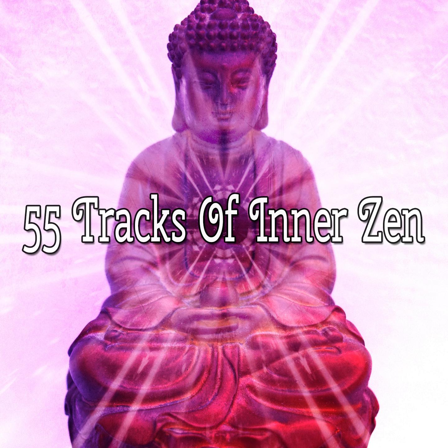 55 Tracks Of Inner Zen