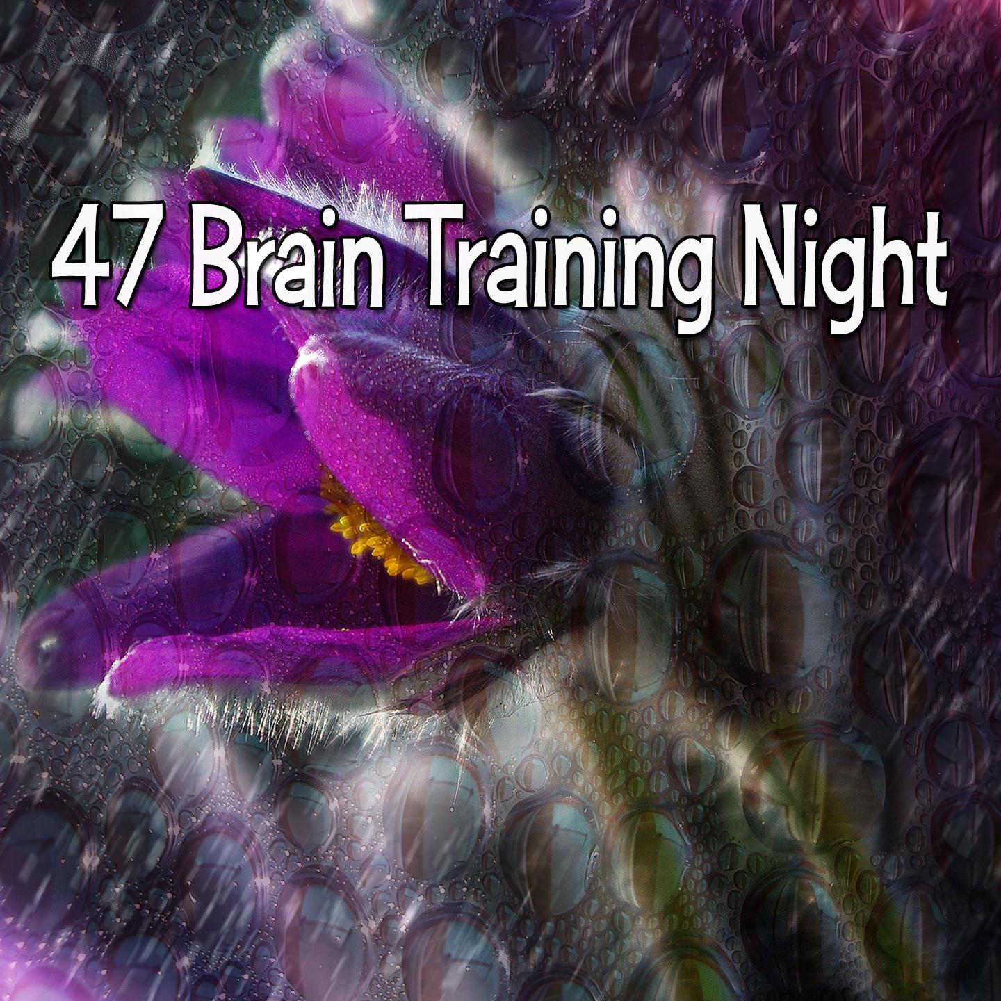 47 Brain Training Night