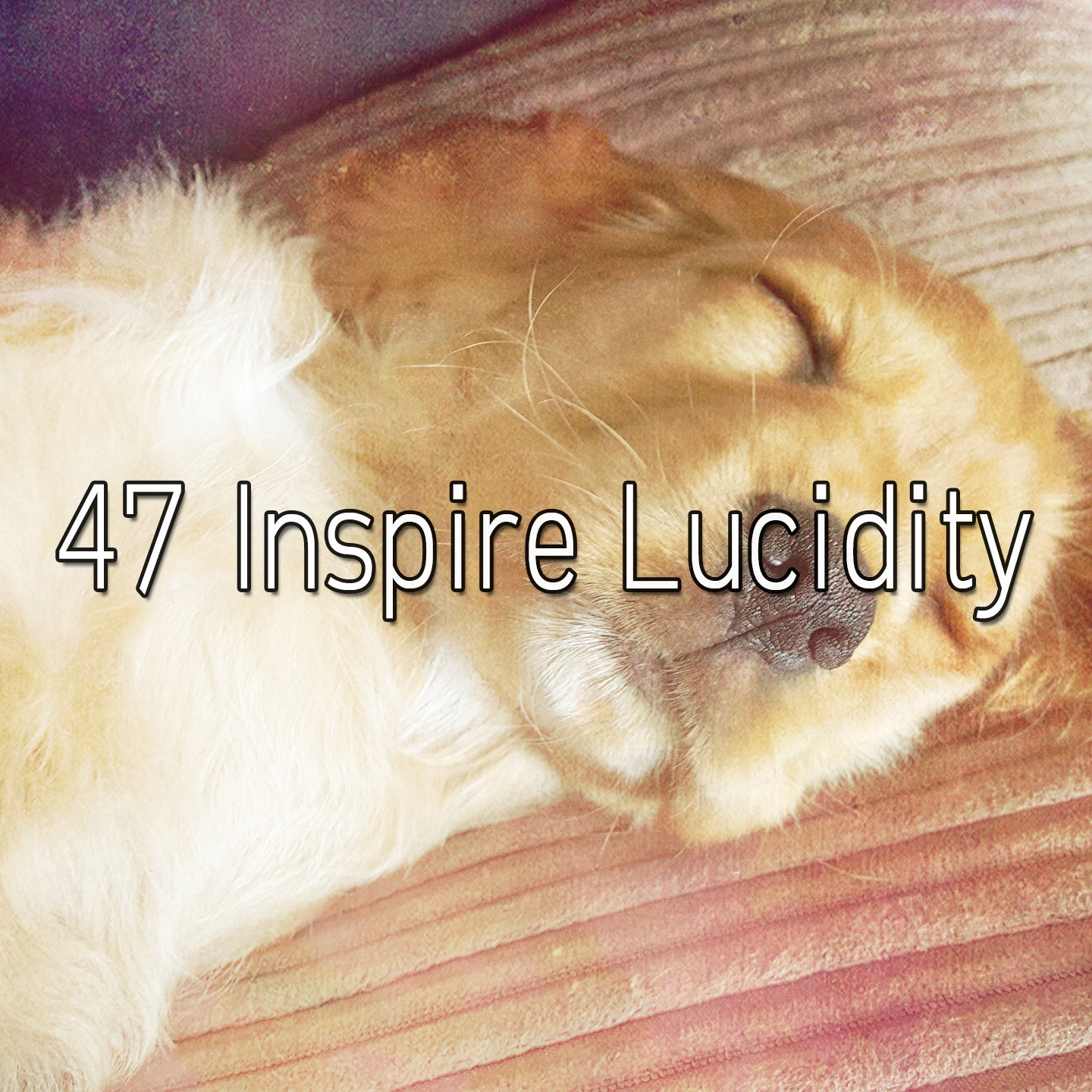 47 Inspire Lucidity