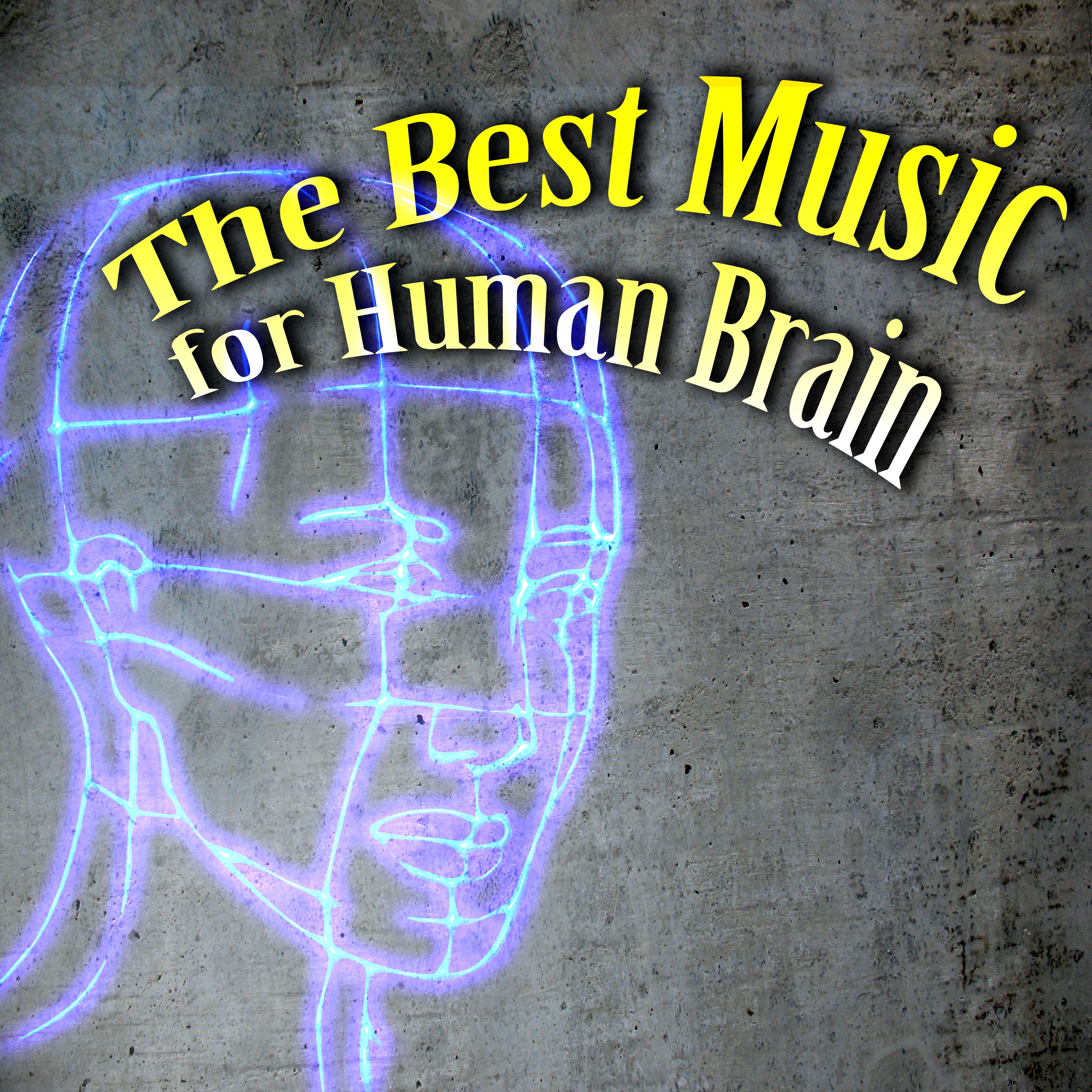 The Best Music for Human Brain  Classical Music for Your Mind, Exam Study Music, Deep Concentration, Mindfulness, Music for Studying