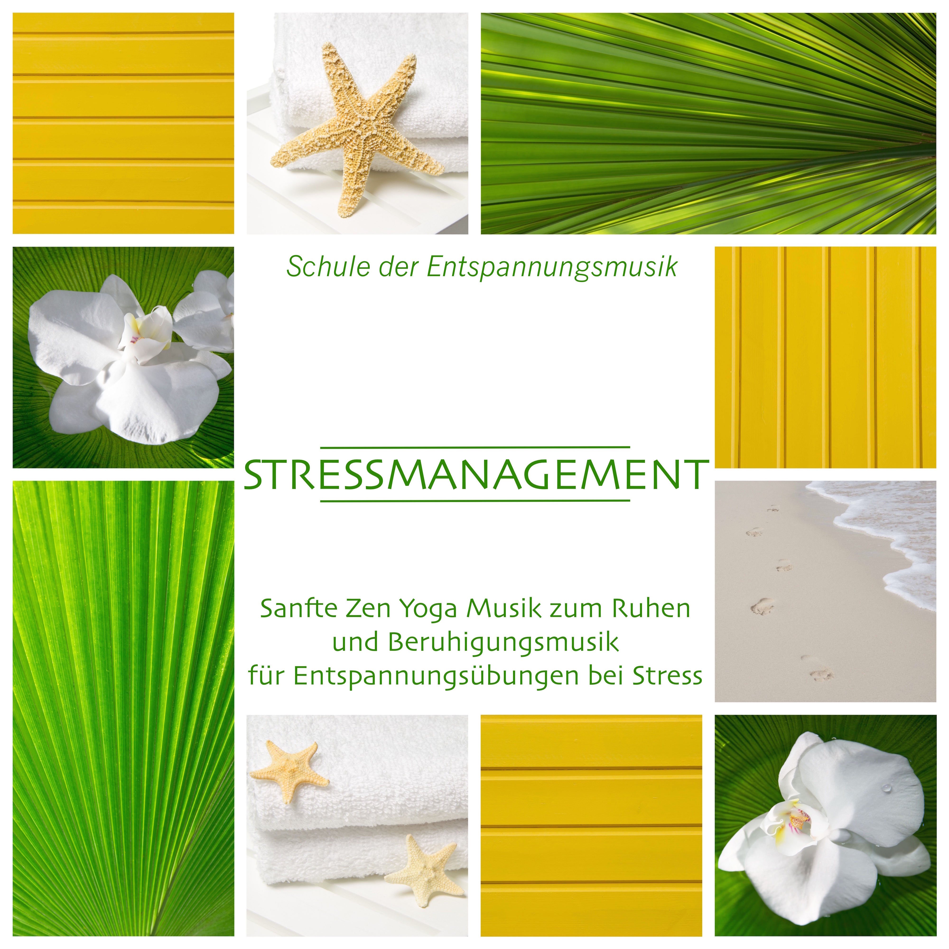 Sitzmeditation bei Negativen Gedanken