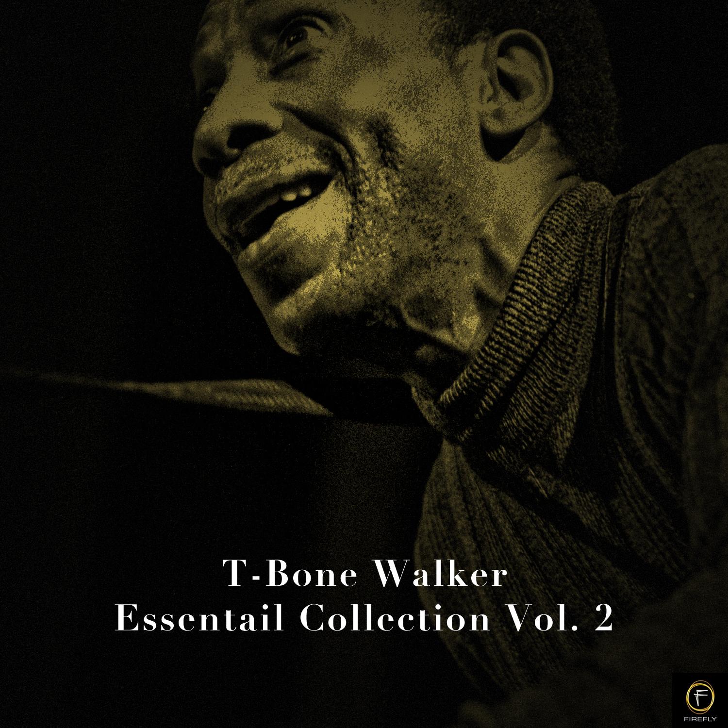T-Bone Walker, Essentail Collection Vol. 2