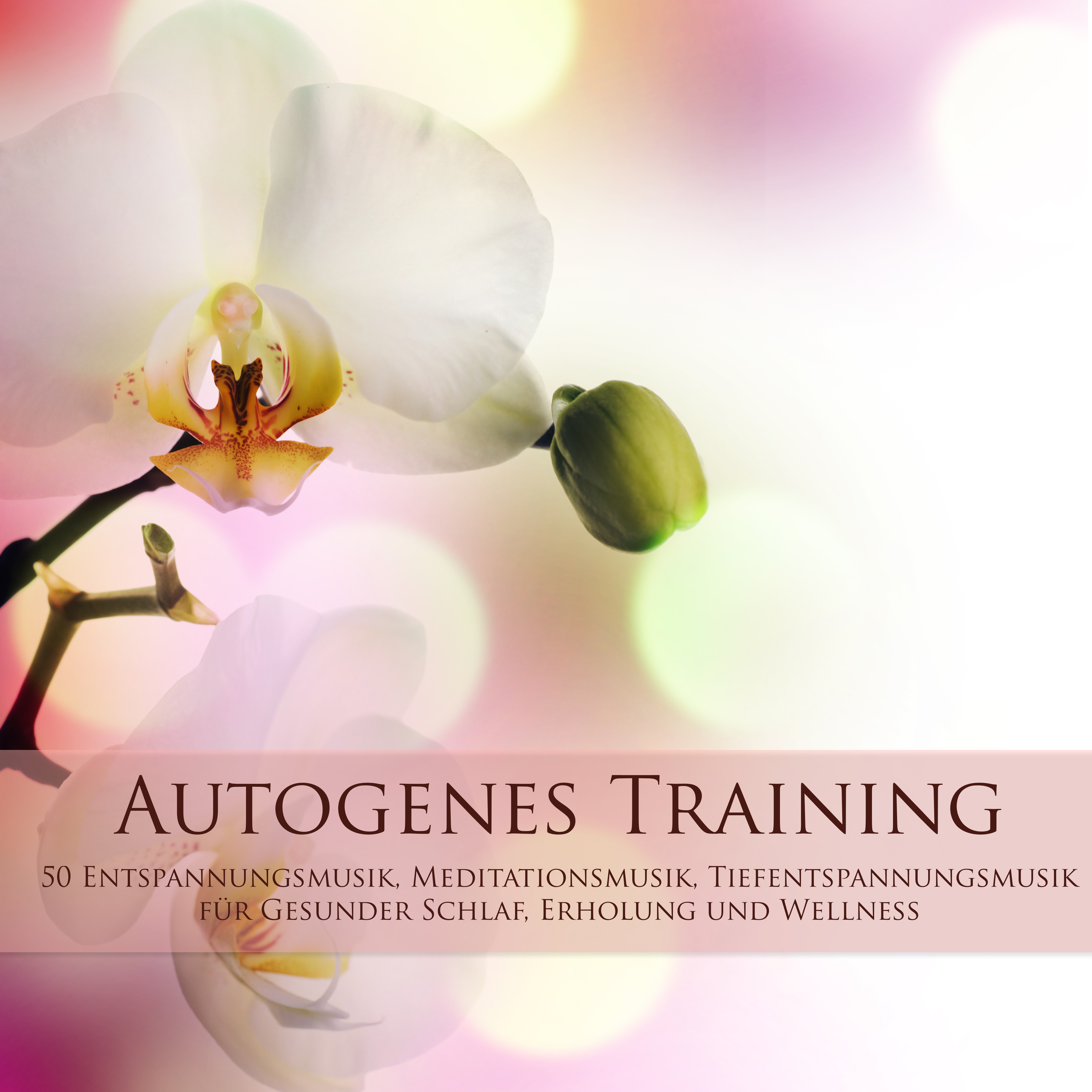 Autogenes Training  50 Entspannungsmusik, Meditationsmusik, Tiefentspannungsmusik fü r Gesunder Schlaf, Erholung und Wellness