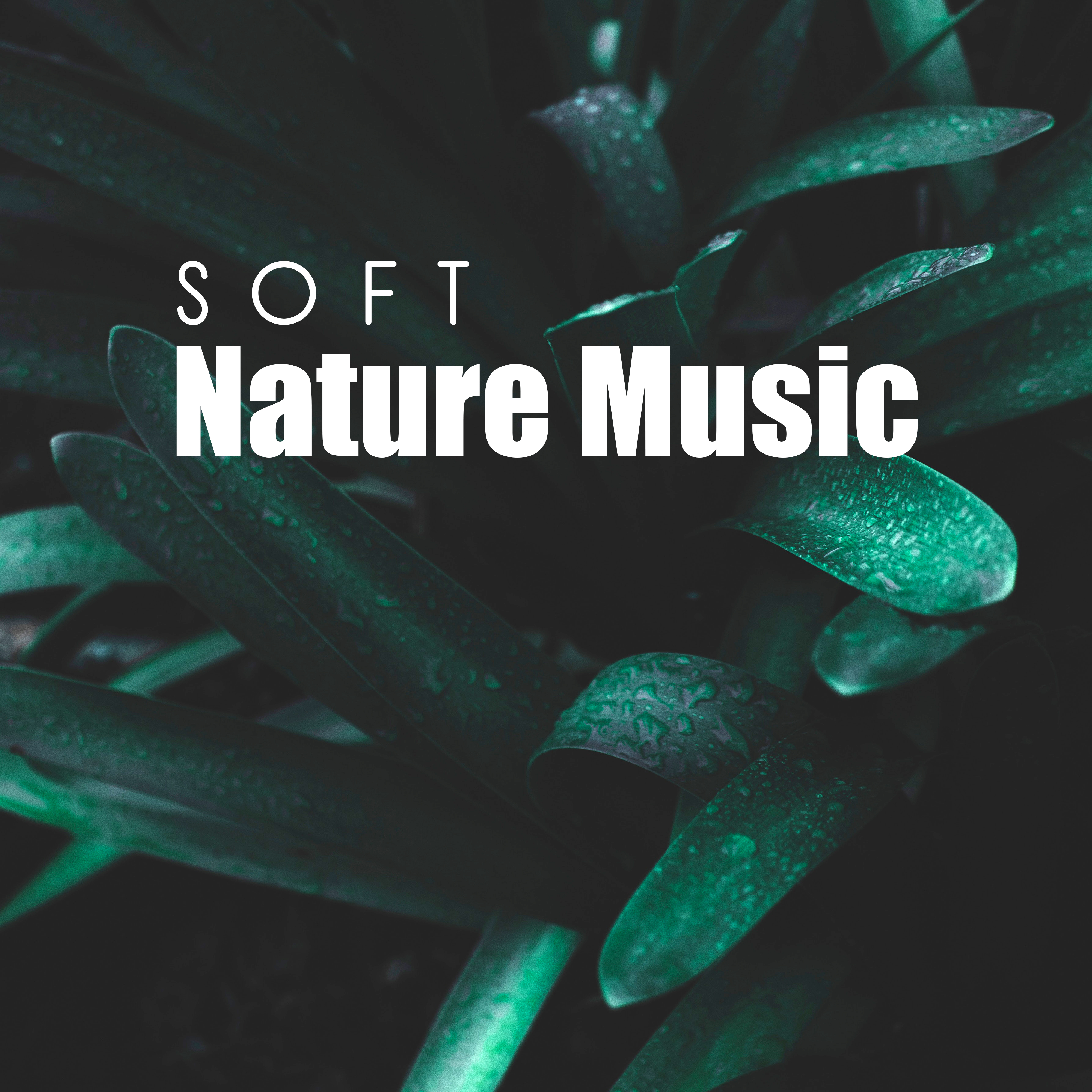 Soft Nature Music