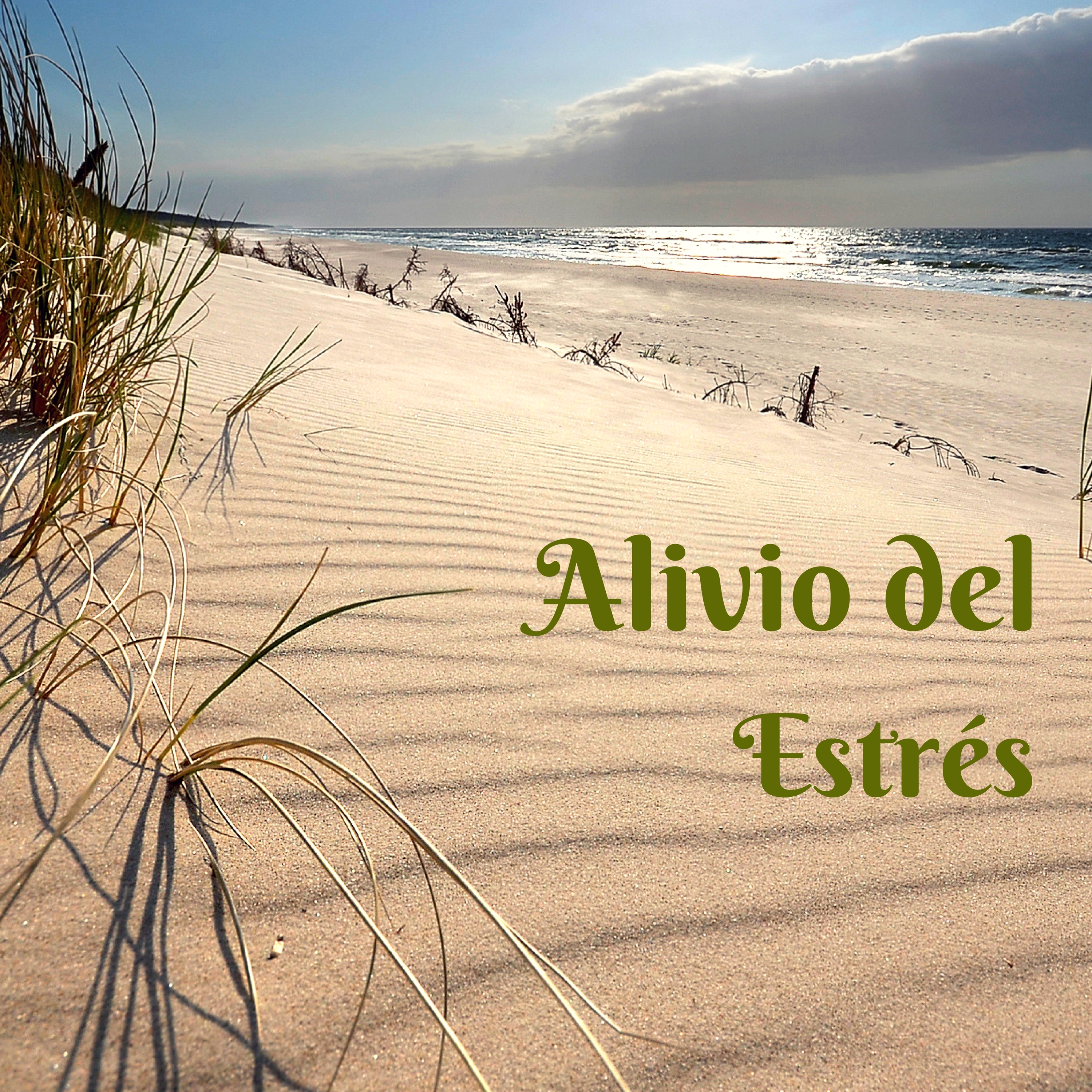 Meditar Profundamente