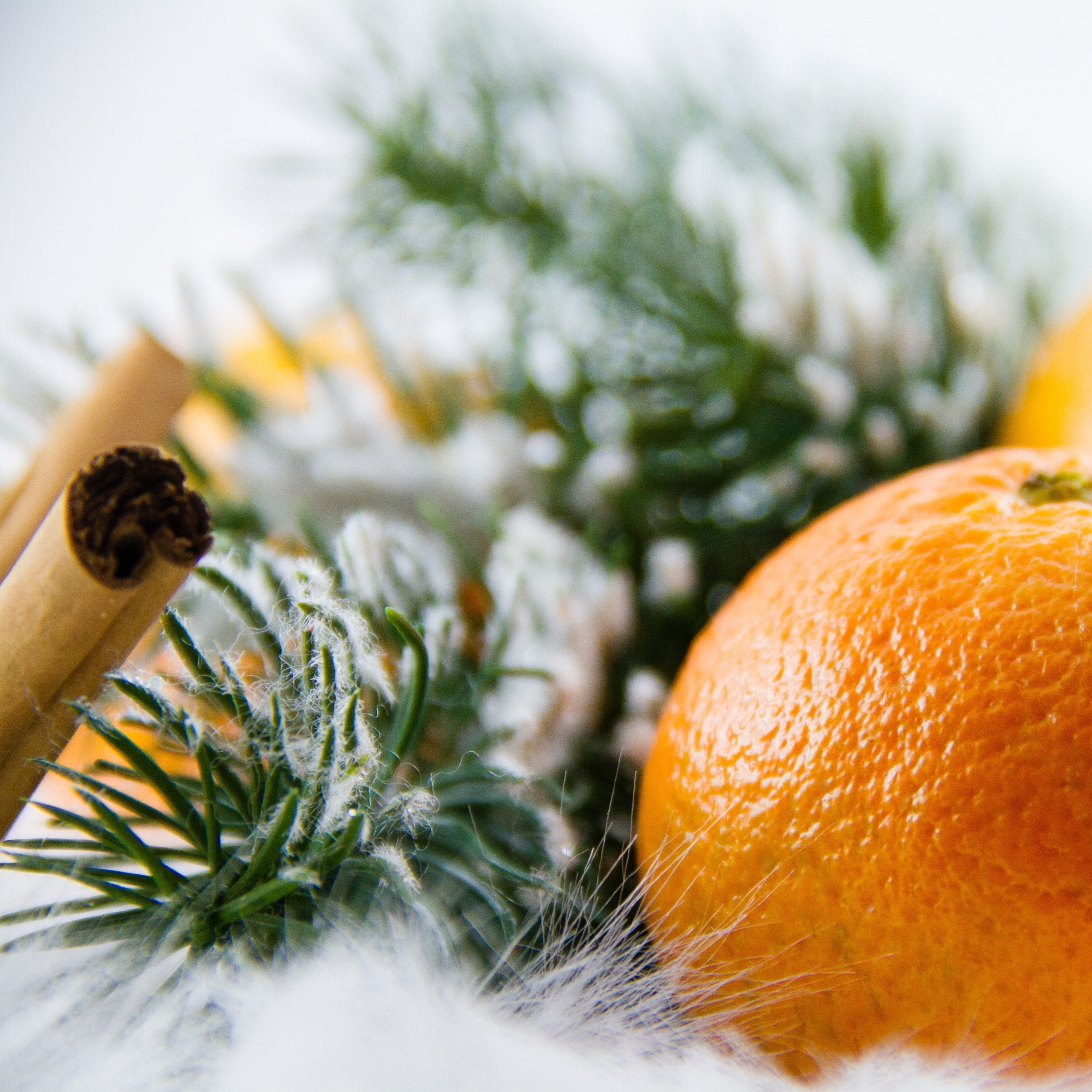 Rhapsody for a Rainy Night