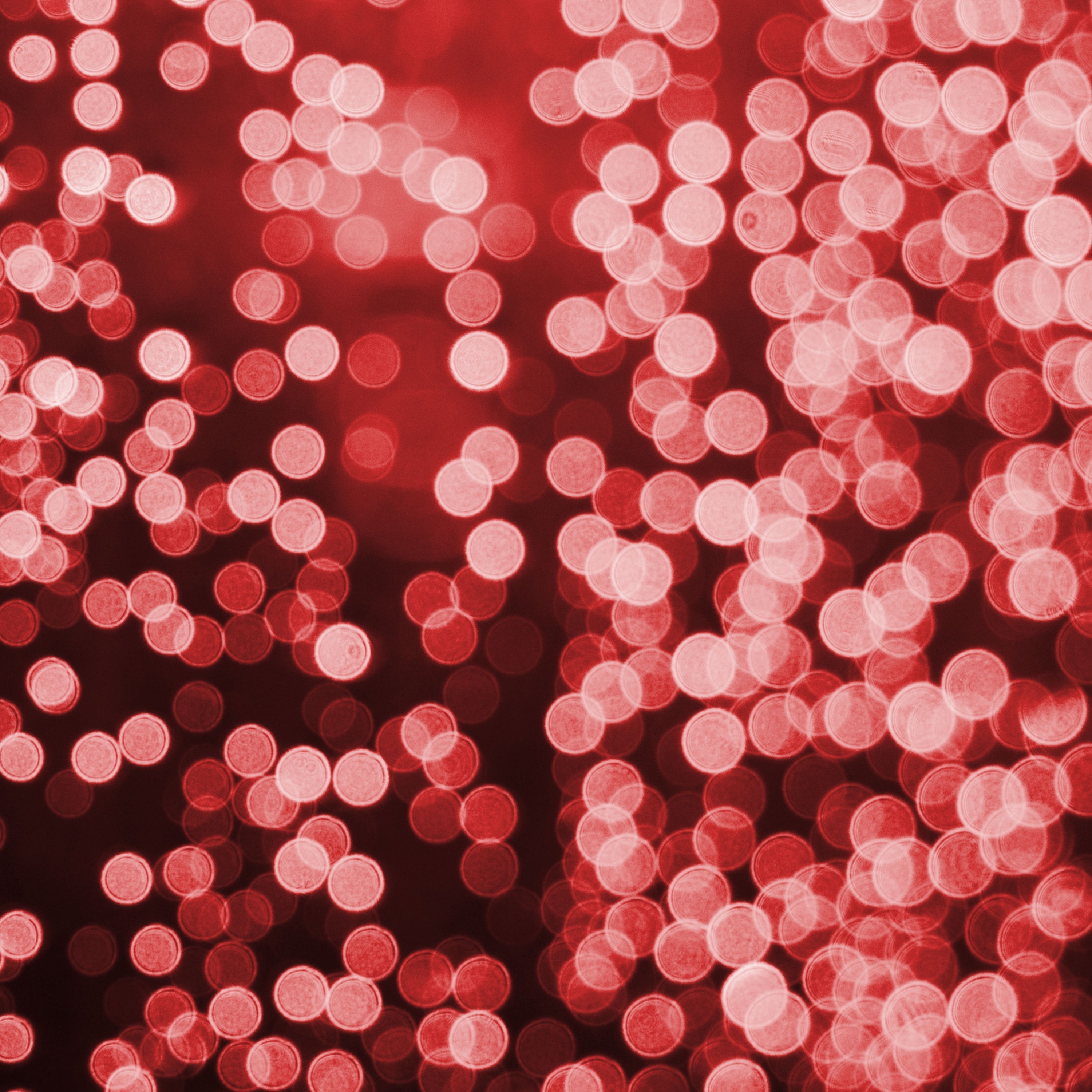 Twelve Days of Christmas