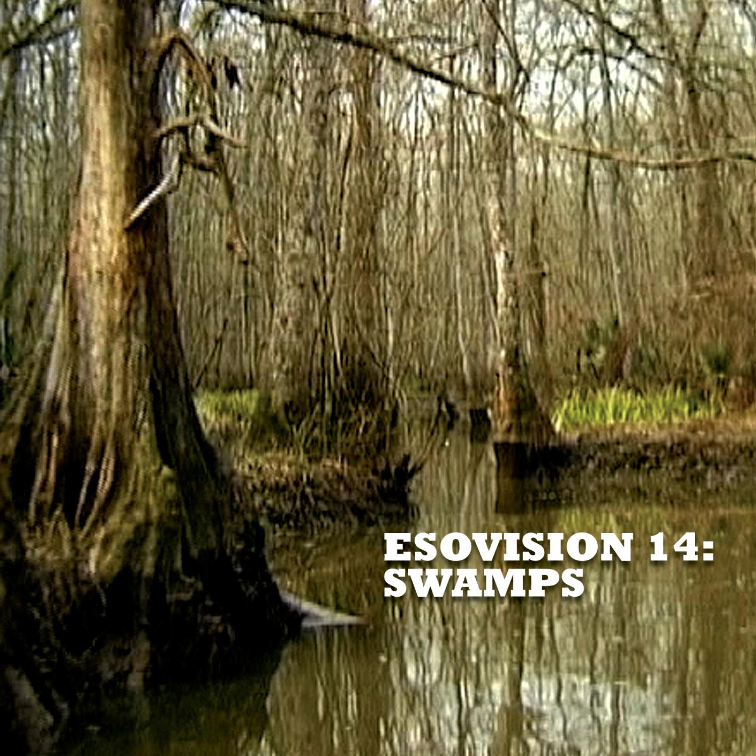 Esovision 14: Swamps