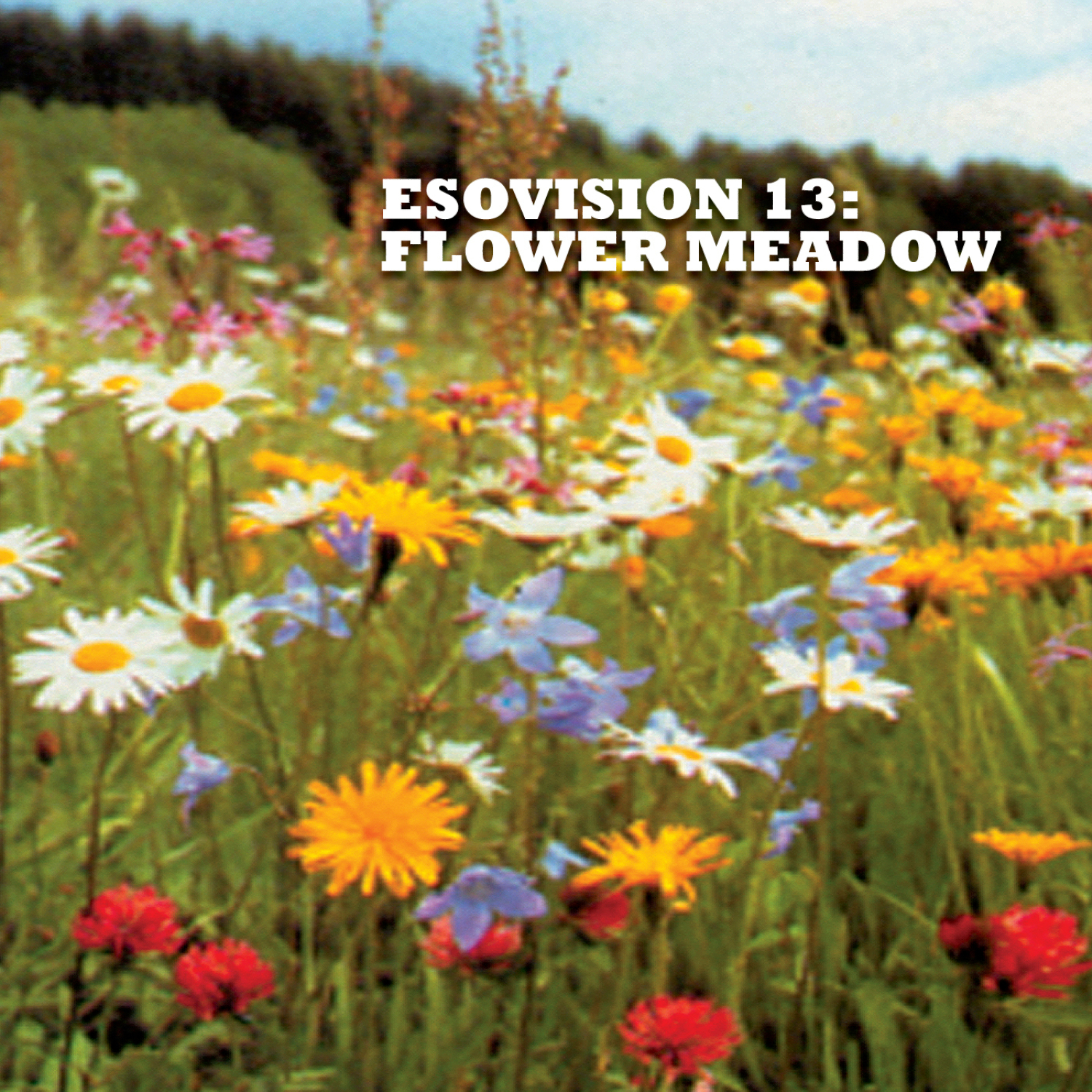 Esovision 13: Flower Meadow