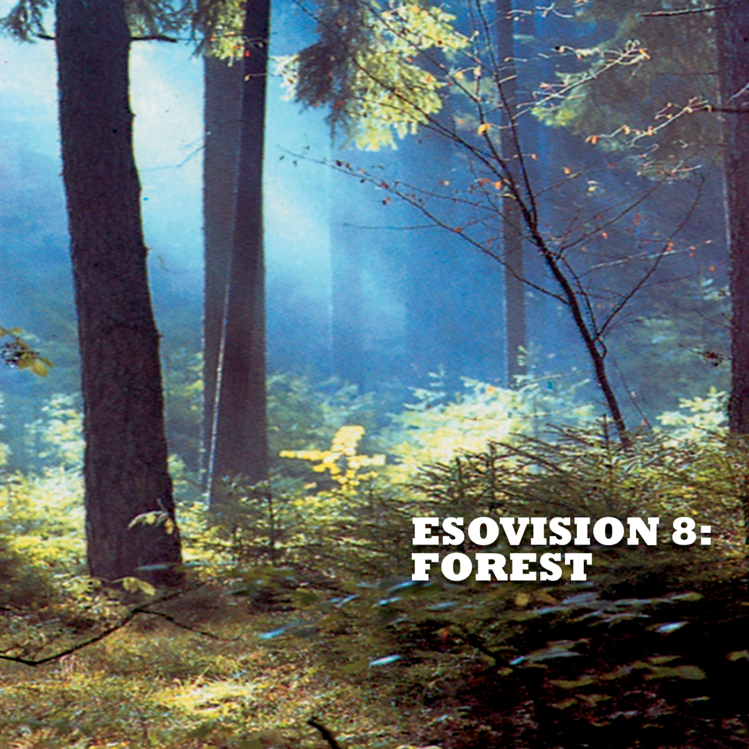 Esovision 8: Forest