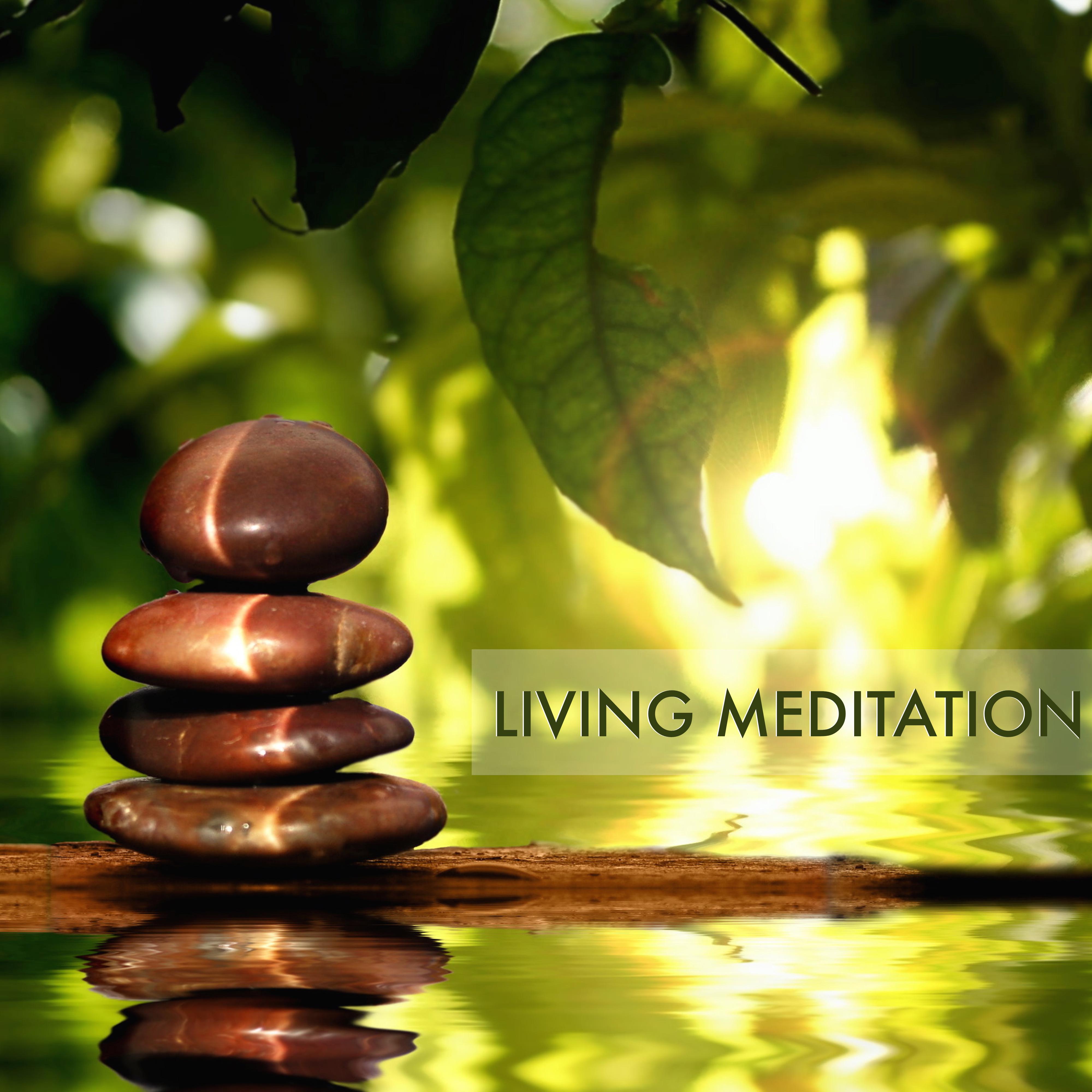 Living Meditation - Deep Meditation Music & Buddhist Relaxation Songs to Learn How to Meditate