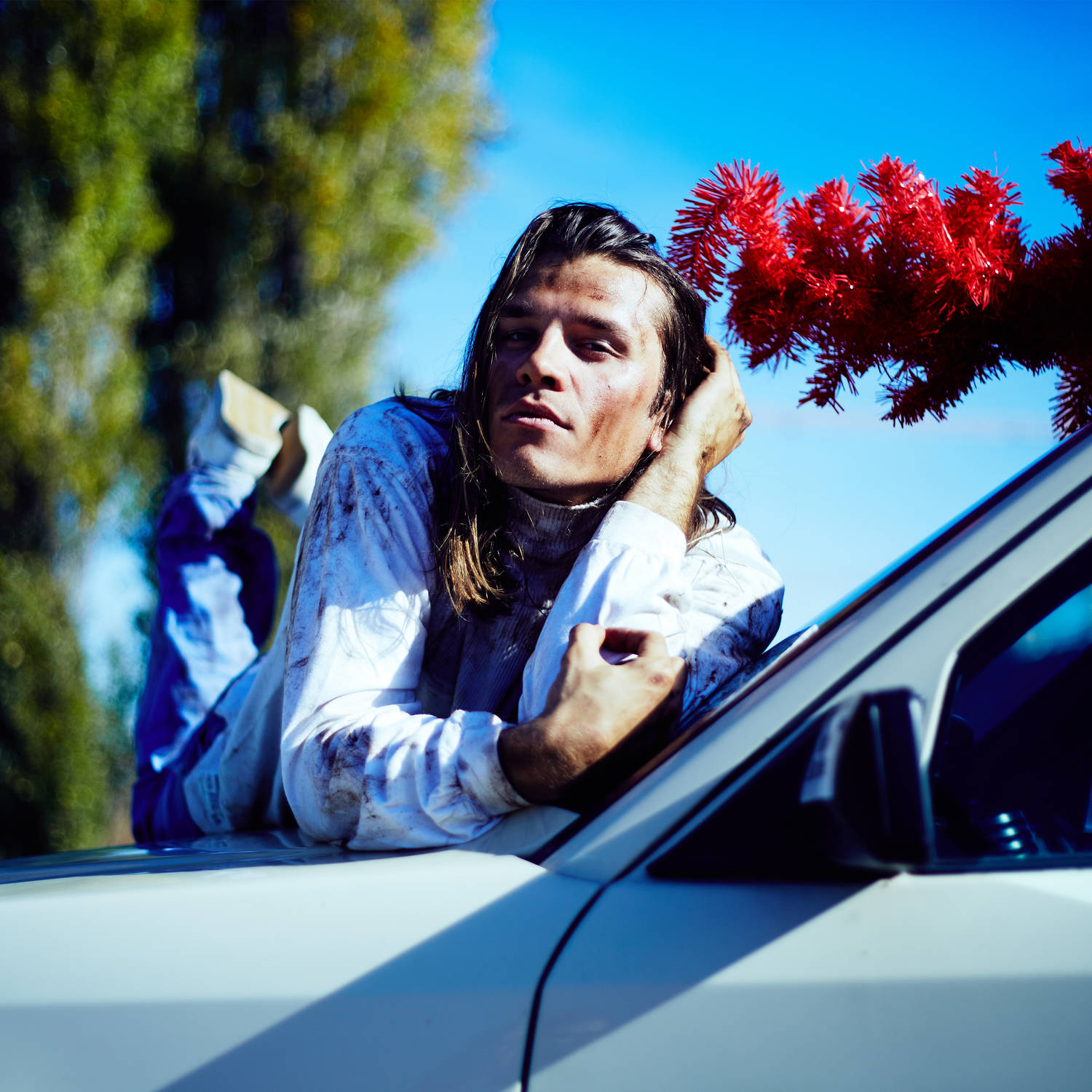 Schneefl ckchen, Wei r ckchen