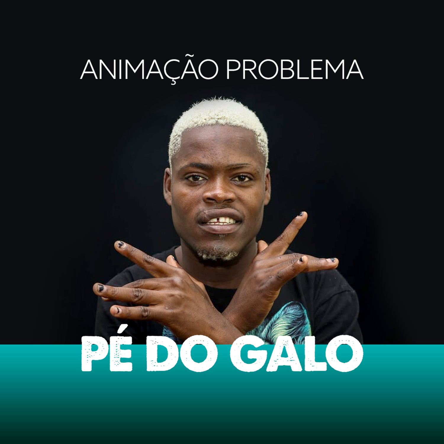 Anima o Problema