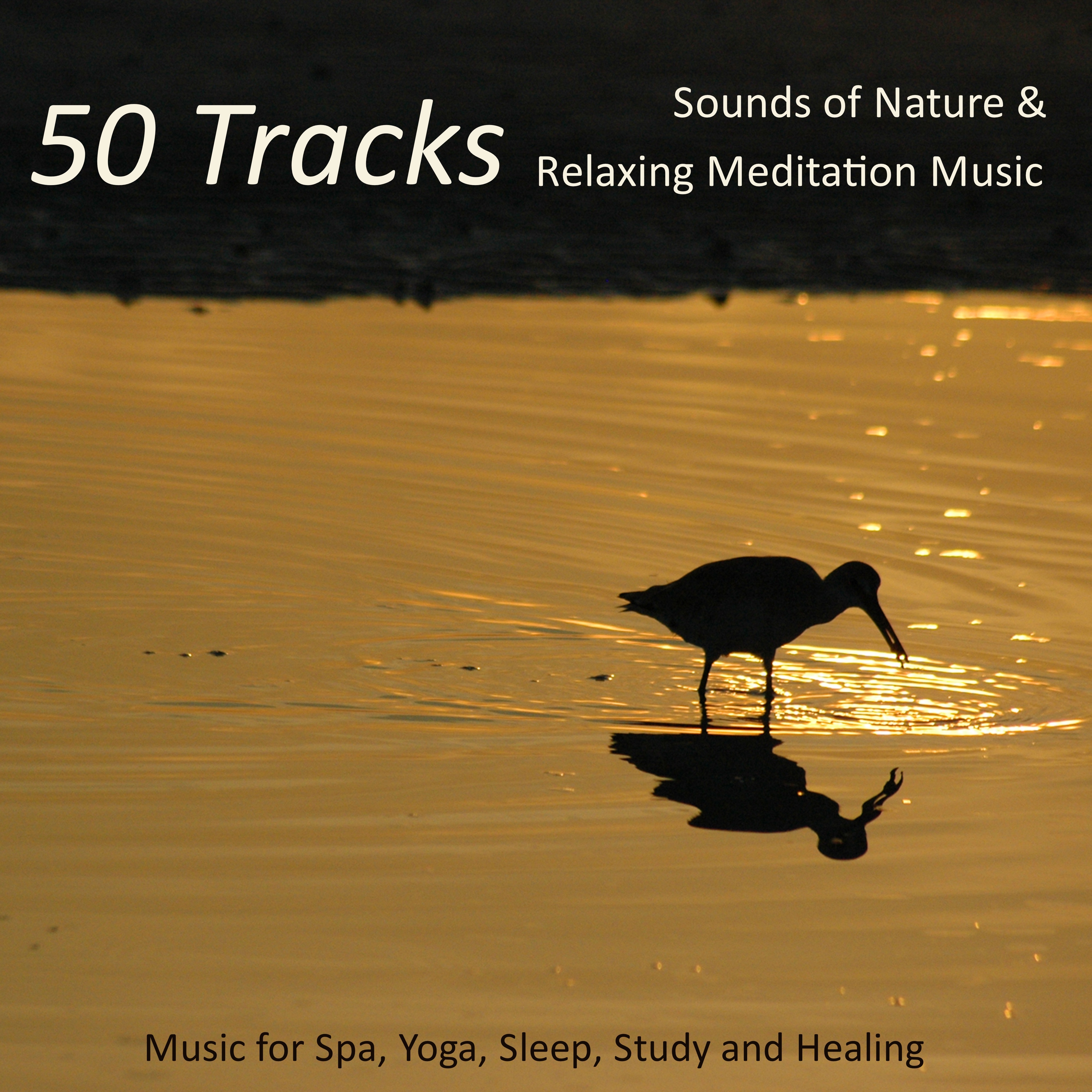 50 Tracks - Sounds of Nature & Relaxing Meditation Music for Spa, Yoga, Sleep, Study and Healing