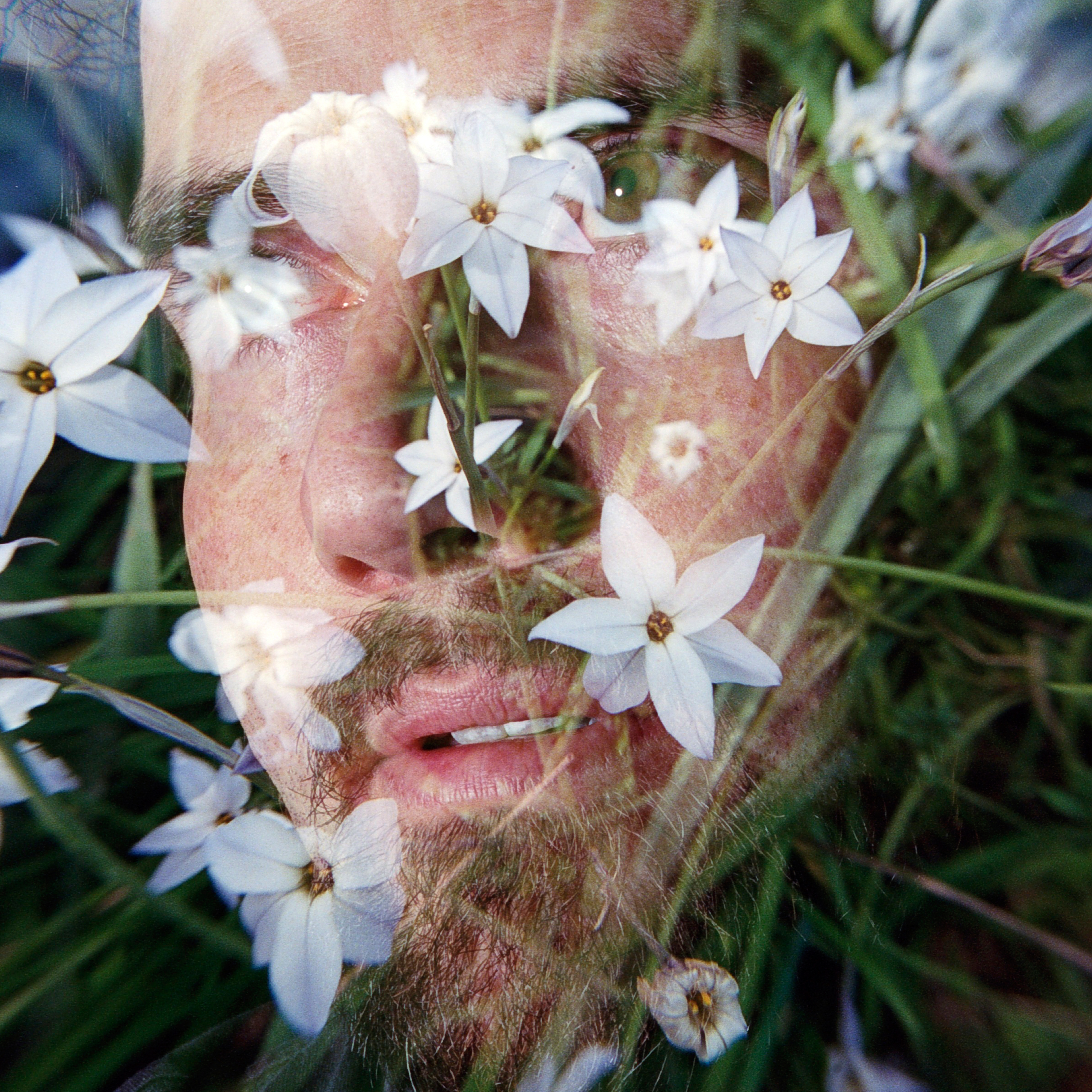 Nauru (Special Edition)