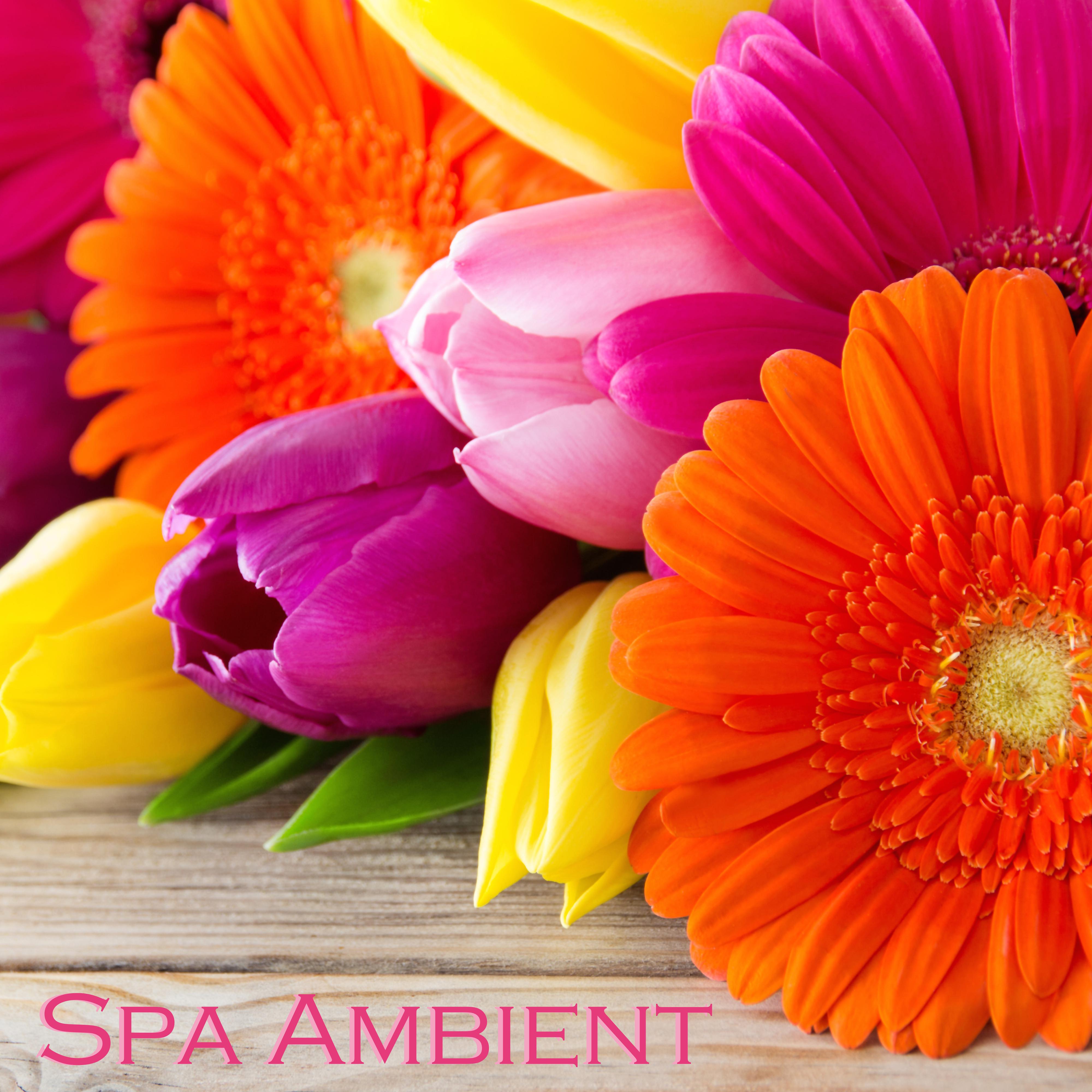 Ambient Spa - Relaxing Spa Music