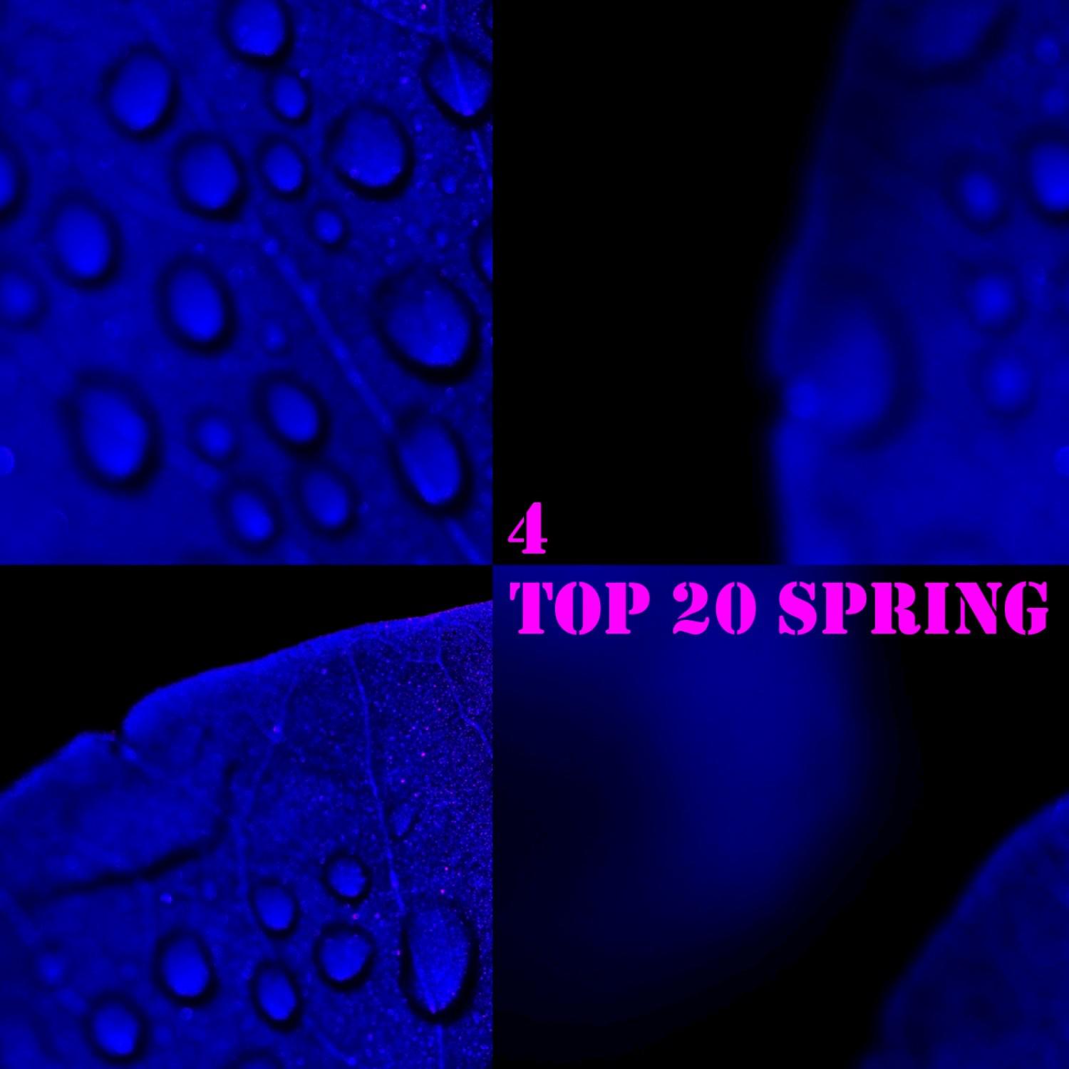 Top 20 Spring, Vol. 4