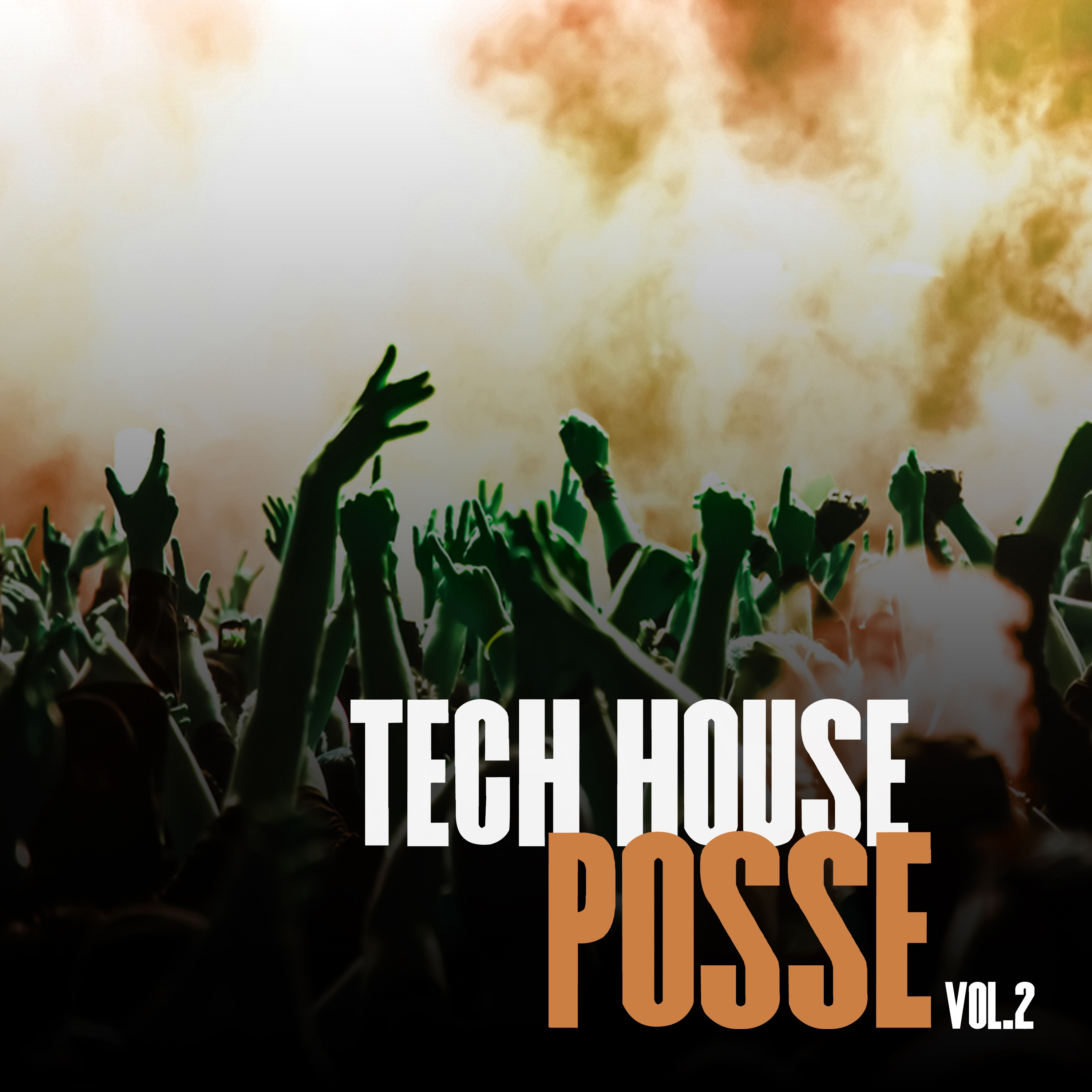 Tech House Posse, Vol. 2