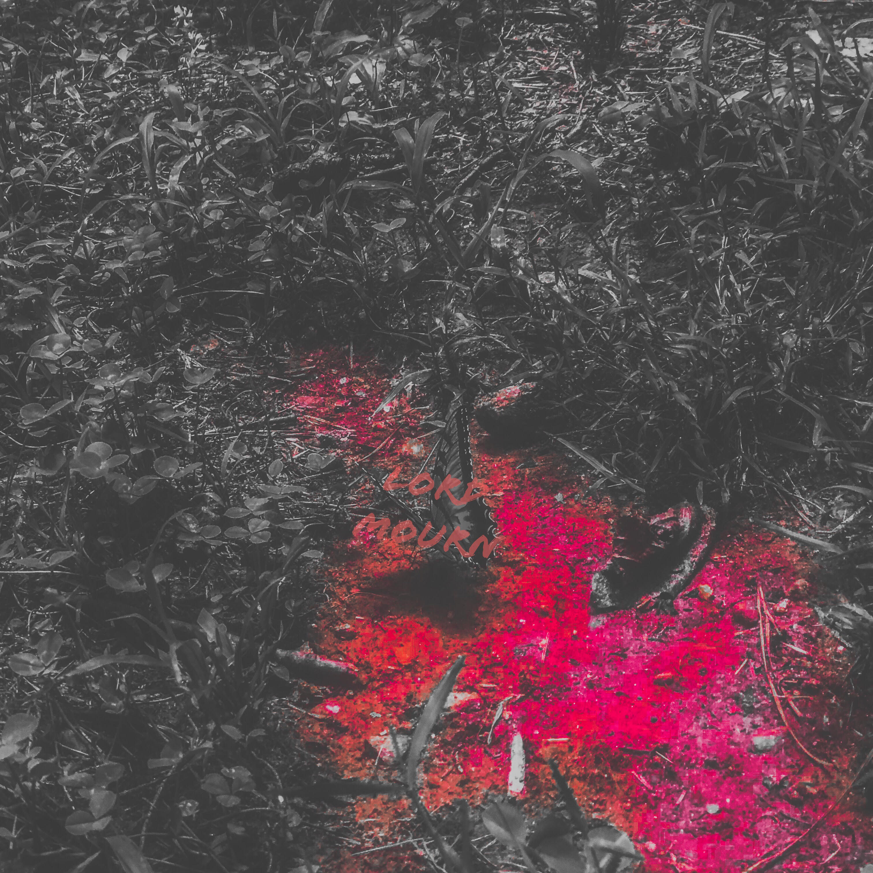 congratulations on your tv show