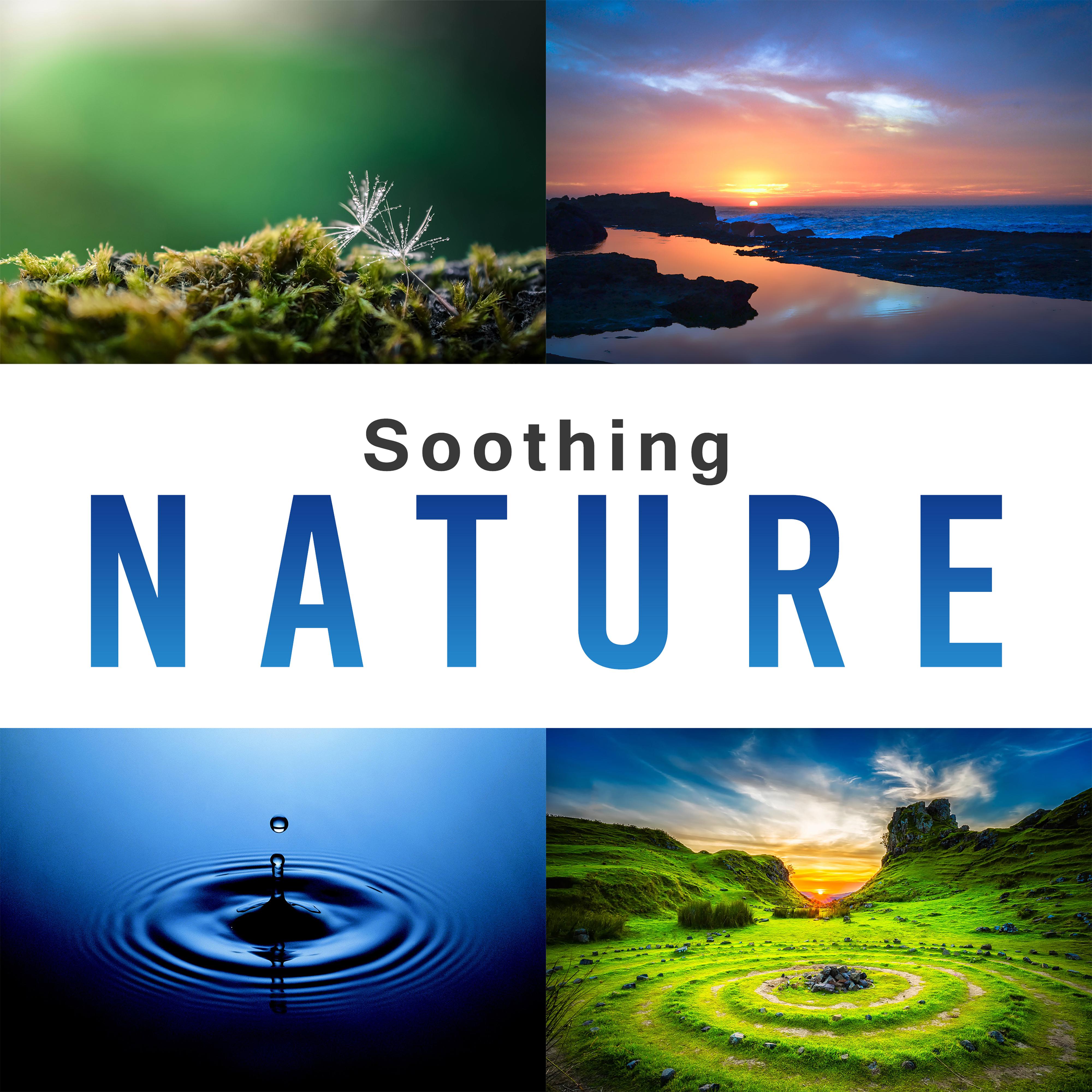 Soothing Nature  Pure Relaxation, New Age Music for Rest, Soft Nature Sounds to Calm Down, Just Relax, Ocean Waves, Zen Music