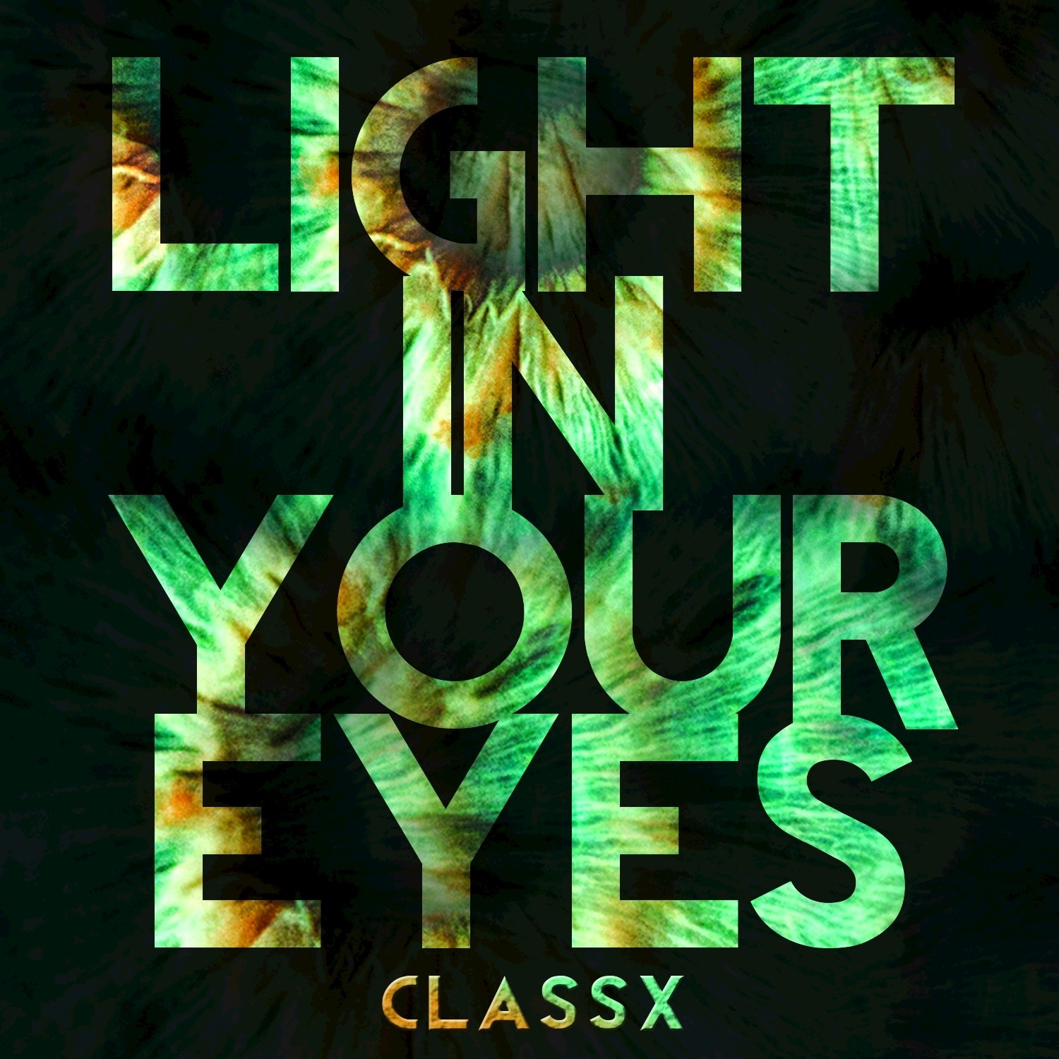 The Light in Your Eyes - Single