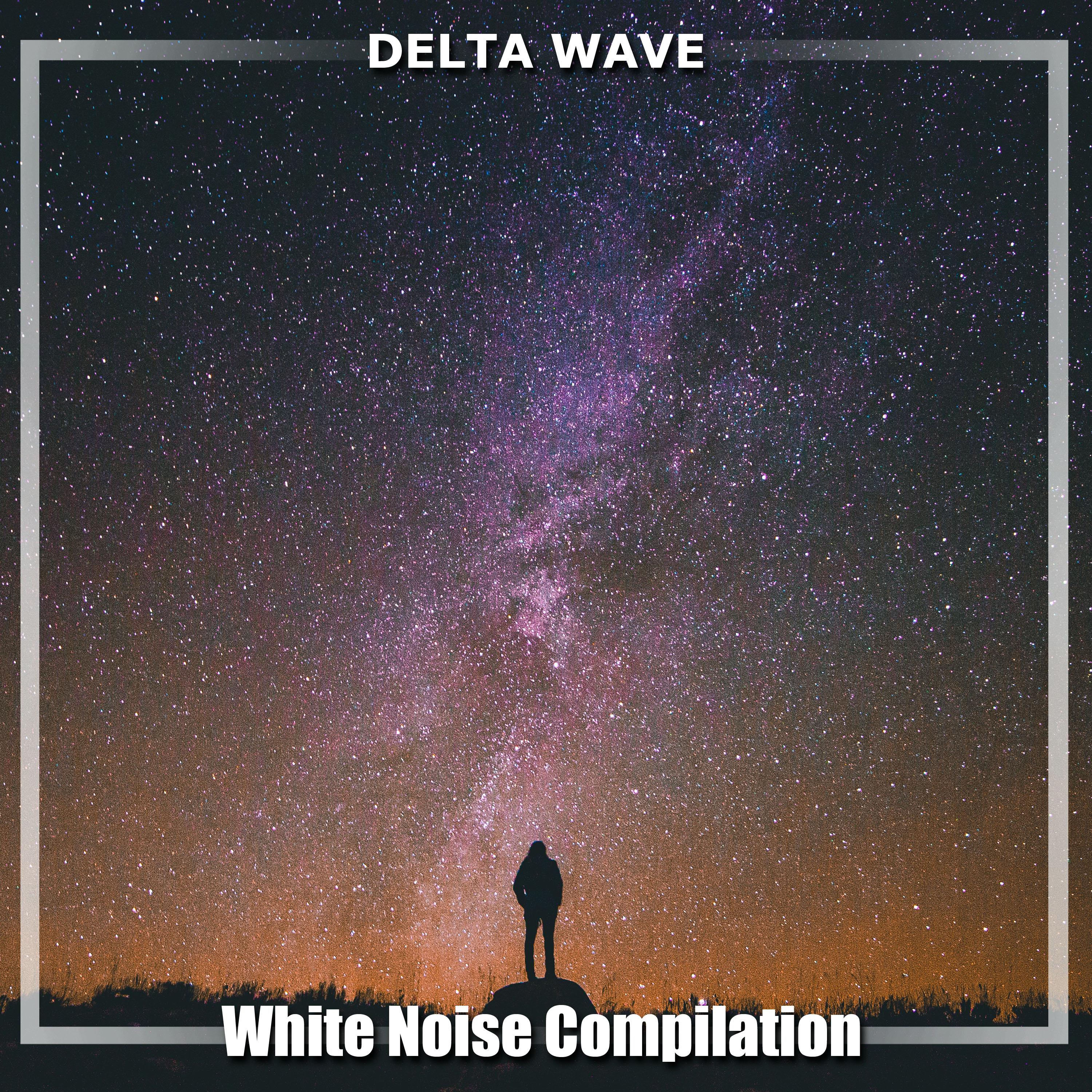 12 Deep Sleep Delta Wave & White Noise Compilation