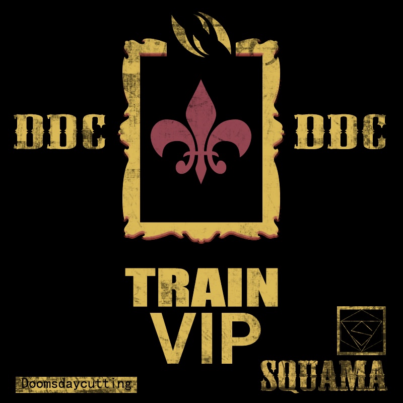 train VIP