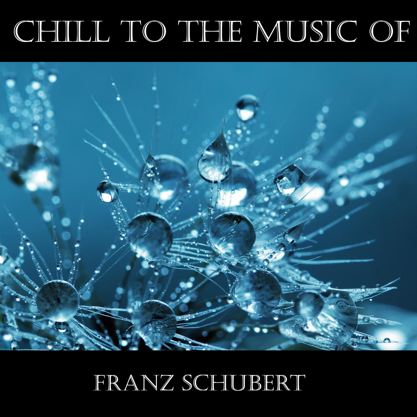 Chill To The Music Of Franz Schubert