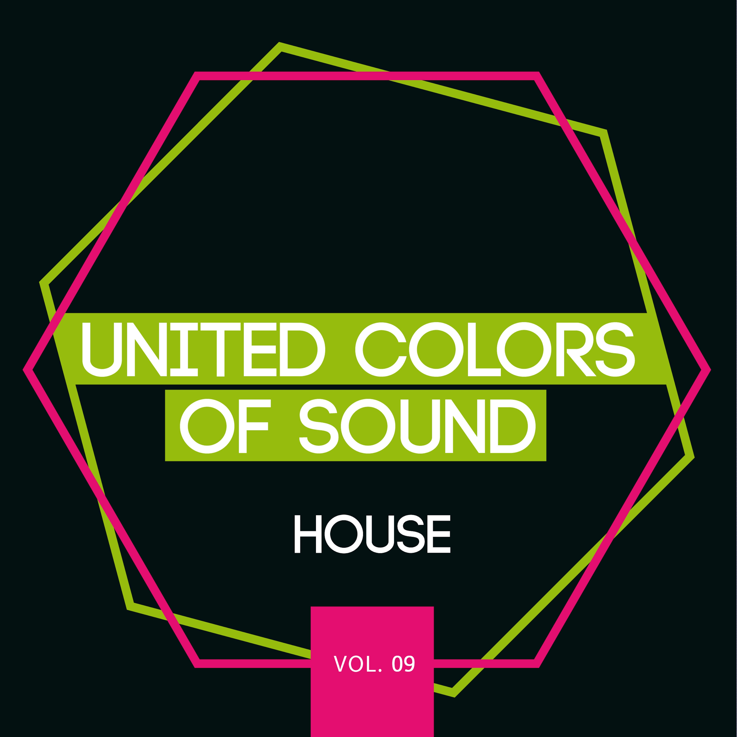 United Colors of Sound - House, Vol. 9