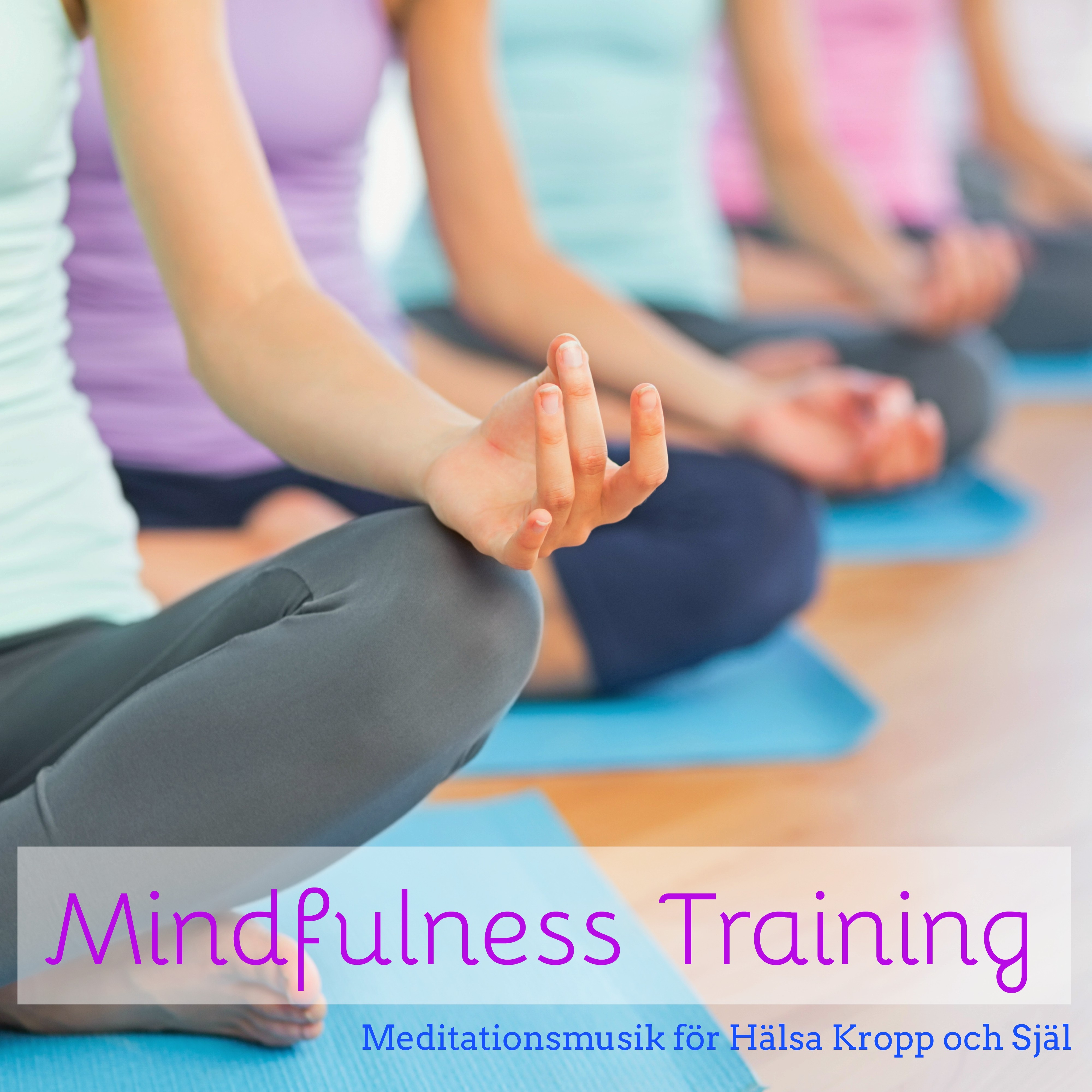 Mindfulness Training  Meditationsmusik f r H lsa Kropp och Sj l, Chillout Lounge Musik, Naturens och Instrumental Ljud