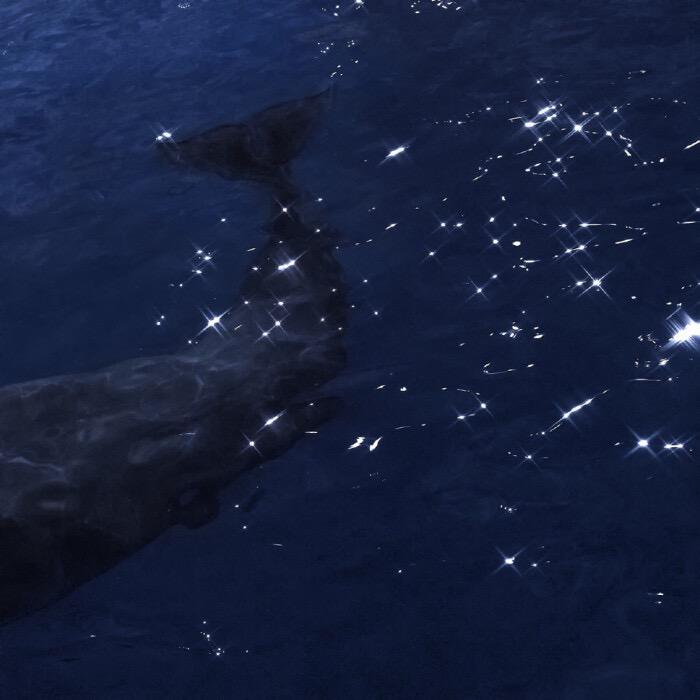 quan shi jie shui qing ting ni