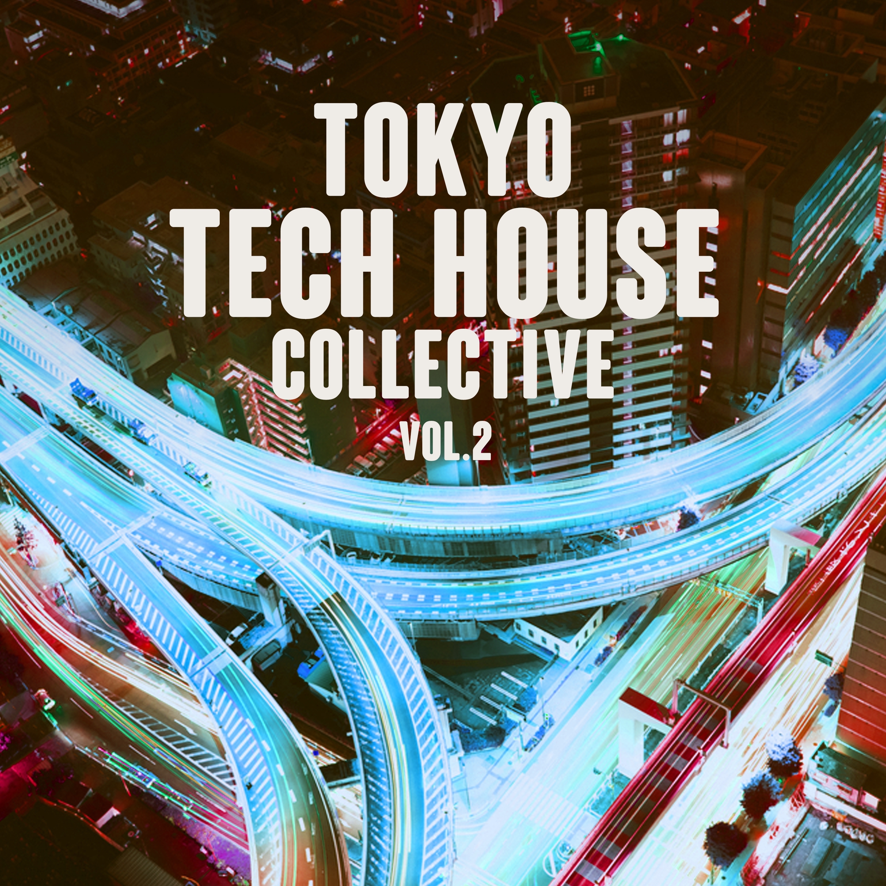 Tokyo Tech House Collective, Vol. 2