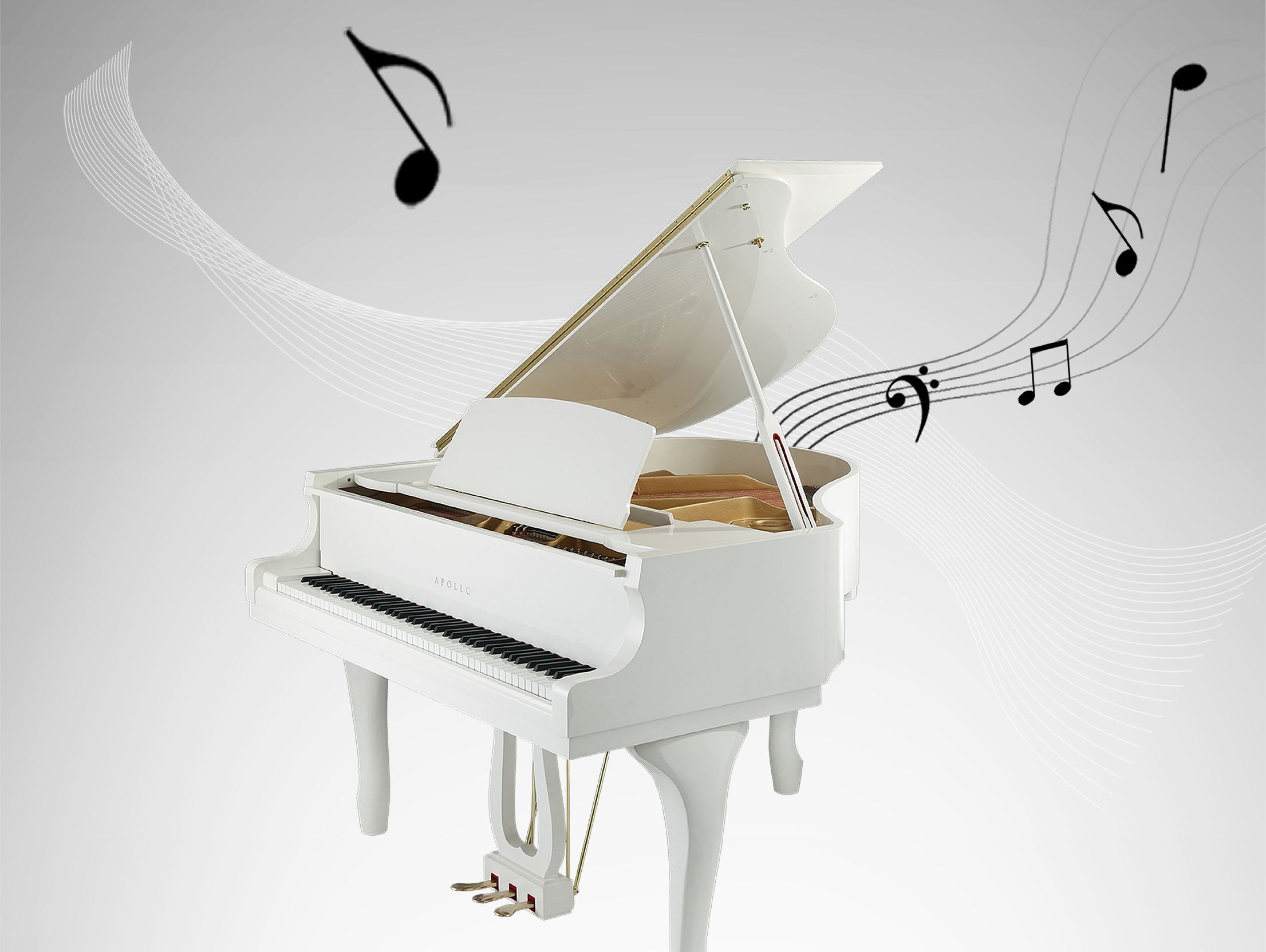 hou lai wang dong ming gang qin ban