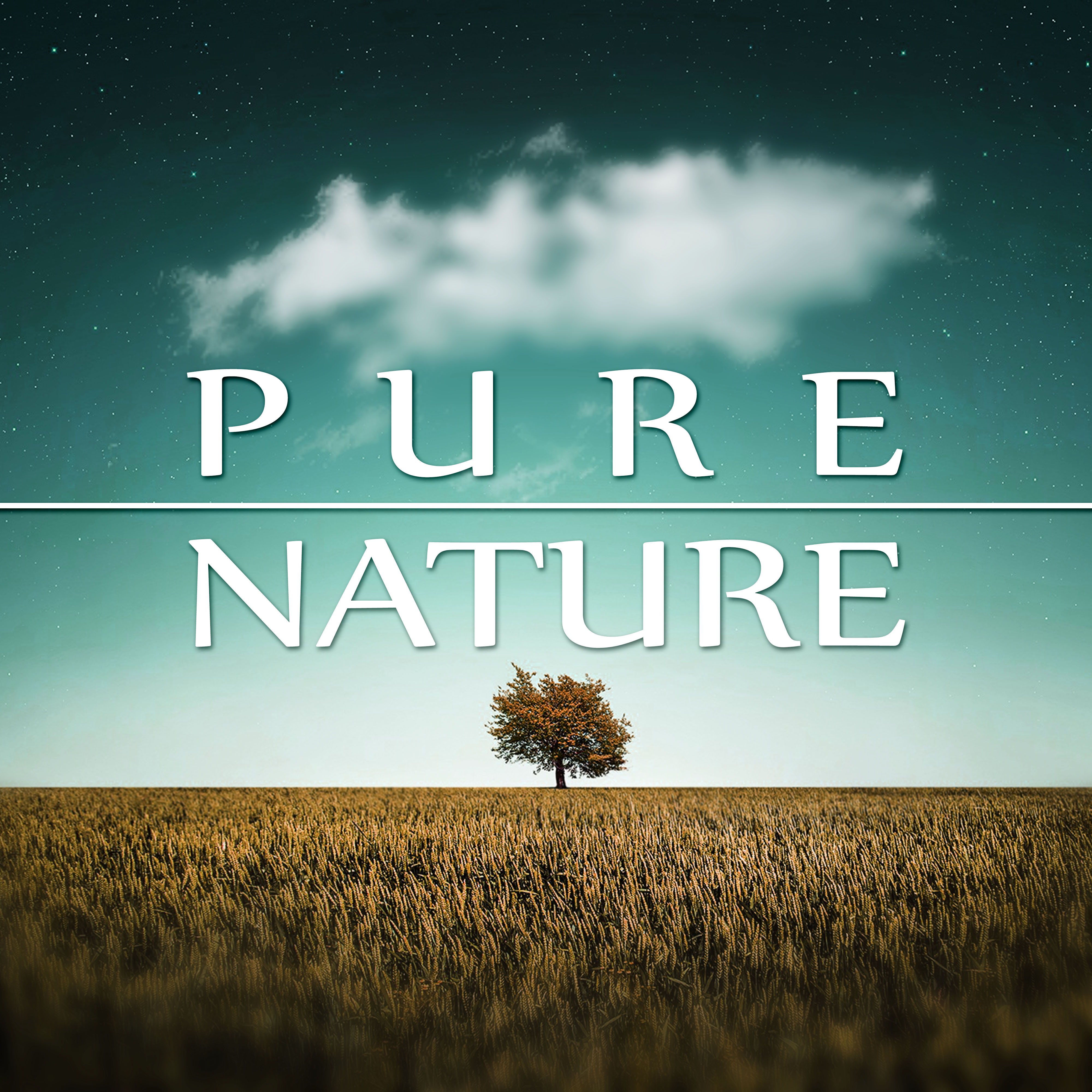 Pure Nature  Natural Harmony, Waves, Calm Music for Yoga, Massage Sounds, Spa Therapy, Nature Sounds, New Age