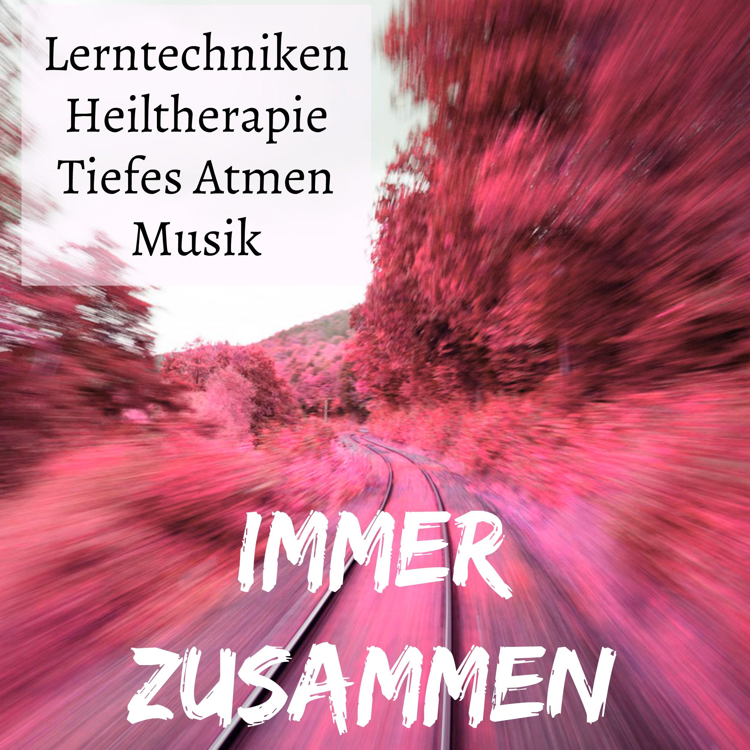 Immer Zusammen  Lerntechniken Achtsamkeitsmeditation Heiltherapie Tiefes Atmen Musik mit New Age Instrumental Ger usche