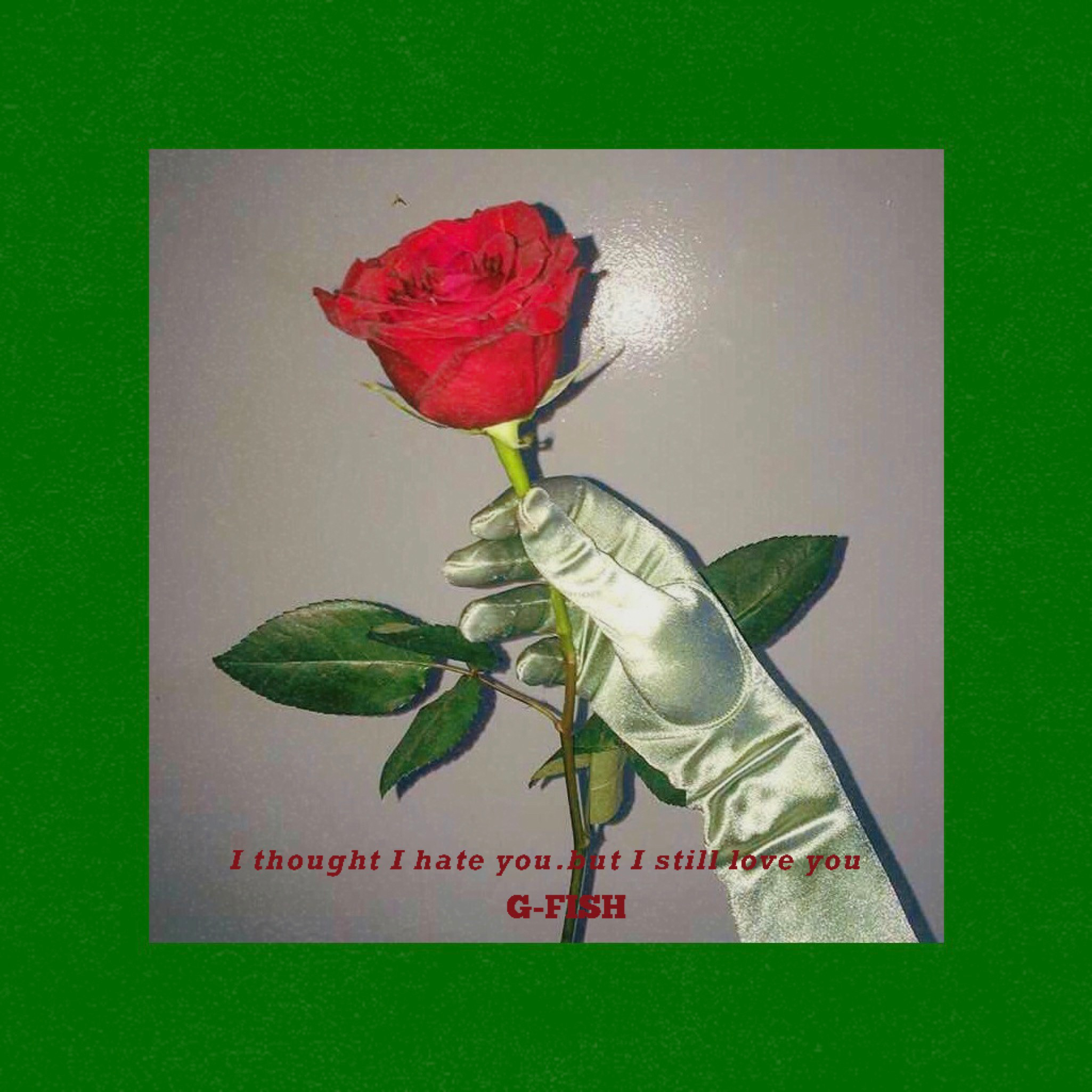  I thought I hate you but I still love you 