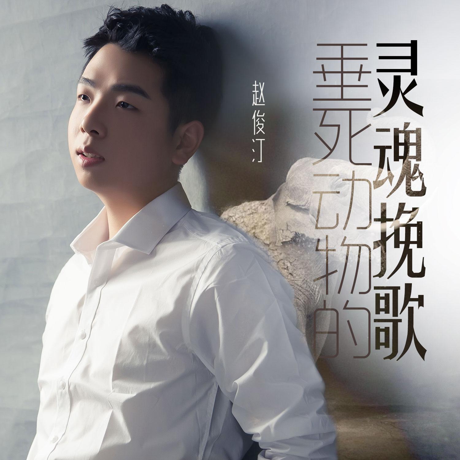 chui si dong wu de ling hun wan ge