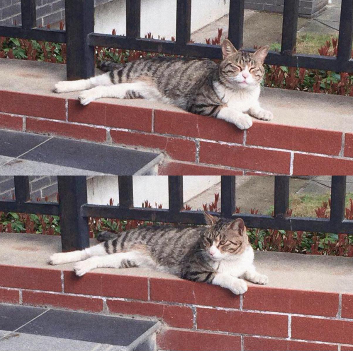 qing ren dou yin ling sheng ban